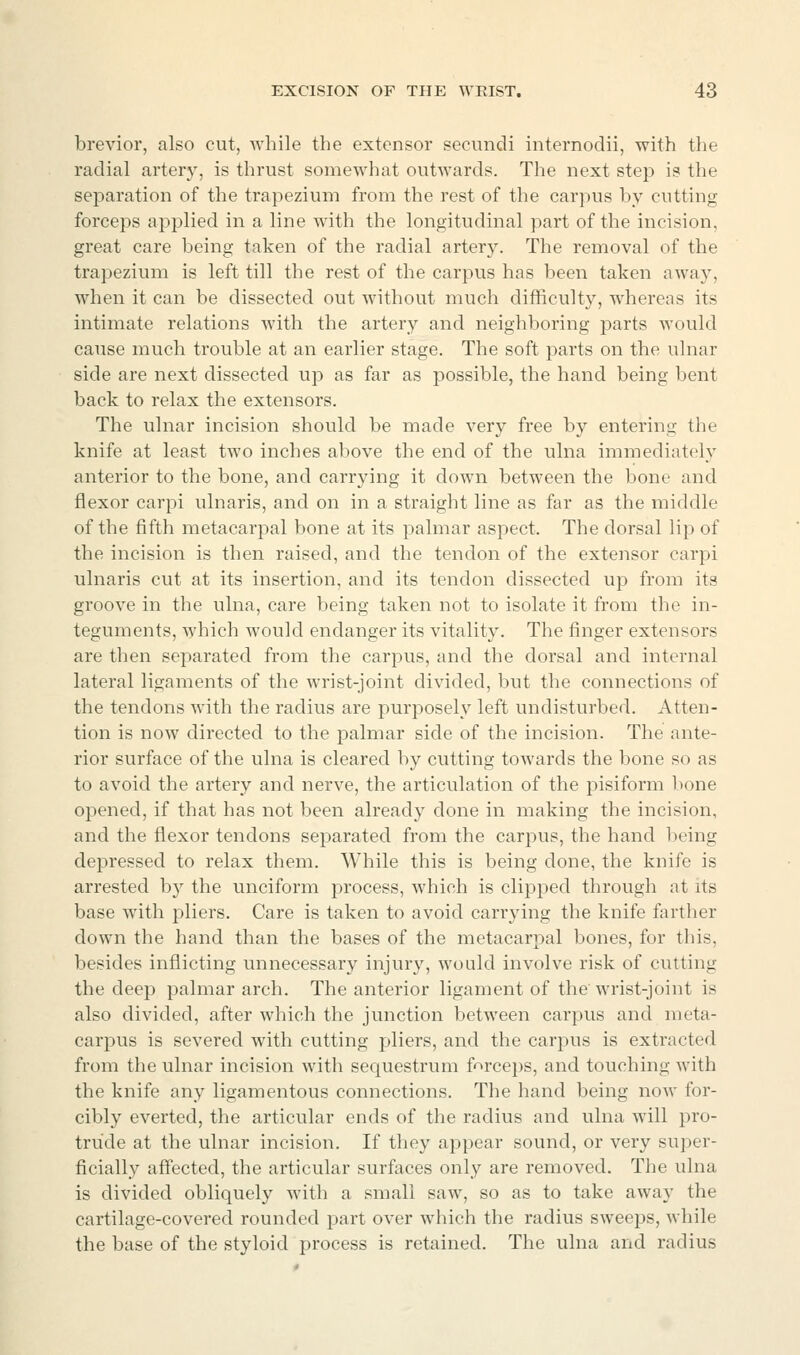brevior, also cut, while the extensor seciindi internodii, with the radial artery, is thrust somewhat outwards. The next step is the separation of the trapezium from the rest of the carpus by cutting forceps applied in a line with the longitudinal part of the incision, great care being taken of the radial artery. The removal of the trapezium is left till the rest of the carpus has been taken away, when it can be dissected out without much difficulty, whereas its intimate relations with the artery and neighboring parts would cause much trouble at an earlier stage. The soft parts on the ulnar side are next dissected up as far as possible, the hand being bent back to relax the extensors. The ulnar incision should be made very free by entering the knife at least two inches above the end of the ulna immediately anterior to the bone, and carrying it down between the bone and flexor carpi ulnaris, and on in a straight line as far as the middle of the fifth metacarpal bone at its palmar aspect. The dorsal lip of the incision is then raised, and the tendon of the extensor carpi ulnaris cut at its insertion, and its tendon dissected up from its groove in the ulna, care being taken not to isolate it from the in- teguments, which would endanger its vitality. The finger extensors are then separated from the carpus, and the dorsal and internal lateral ligaments of the wrist-joint divided, but the connections of the tendons with the radius are purposely left undisturbed. Atten- tion is now directed to the palmar side of the incision. The ante- rior surface of the ulna is cleared by cutting towards the bone so as to avoid the artery and nerve, the articulation of the pisiform bone opened, if that has not been already done in making the incision, and the flexor tendons separated from the carpus, the hand being depressed to relax them. While this is being done, the knife is arrested bj^ the unciform process, which is clipped through at its base with pliers. Care is taken to avoid carrying the knife farther down the hand than the bases of the metacarpal bones, for this, besides inflicting unnecessary injury, would involve risk of cutting the deep palmar arch. The anterior ligament of the'wrist-joint is also divided, after which the junction between carpus and meta- carpus is severed with cutting pliers, and the carpus is extracted from the ulnar incision with sequestrum forceps, and touching with the knife any ligamentous connections. The hand being now for- cibly everted, the articular ends of the radius and ulna will pro- trude at the ulnar incision. If they appear sound, or very super- ficially affected, the articular surfaces only are removed. The ulna is divided obliquely with a small saw, so as to take away the cartilage-covered rounded part over which the radius sweeps, while the base of the styloid process is retained. The ulna and radius