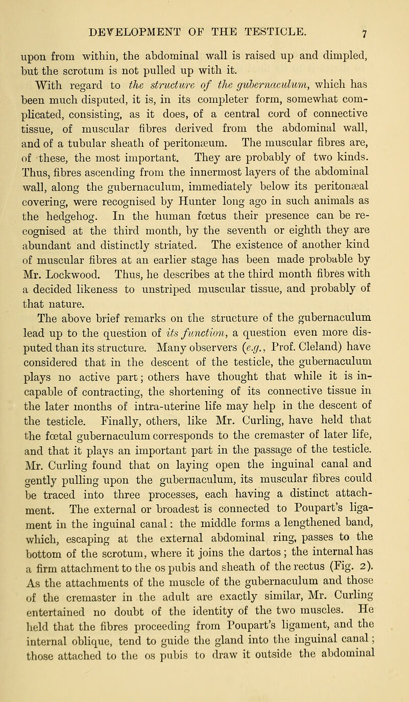 upon from within, the abdominal wall is raised up and dimpled, but the scrotum is not pulled up with it. With regard to the structure of the guhernaculum, which has been much disputed, it is, in its completer form, somewhat com- plicated, consisting, as it does, of a central cord of connective tissue, of muscular fibres derived from the abdominal wall, and of a tubular sheath of peritonaeum. The muscular fibres are, of these, the most important. They are probably of two kinds. Thus, fibres ascending from the innermost layers of the abdominal wall, along the guhernaculum, immediately below its peritonseal covering, were recognised by Hunter long ago in such animals as the hedgehog. In the human foetus their presence can be re- cognised at the third month, by the seventh or eighth they are abundant and distinctly striated. The existence of another kind of muscular fibres at an earlier stage has been made probable by Mr. Lockwood. Thus, he describes at the third month fibres with a decided likeness to unstriped niuscular tissue, and probably of that nature. The above brief remarks on the structure of the gubernaculum lead up to the question of its function, a question even more dis- puted than its structure. Many observers {e.g., Prof. Cleland) have considered that in the descent of the testicle, the gubernaculum plays no active part; others have thought that while it is in- capable of contracting, the shortening of its connective tissue in the later months of intra-uterine life may help in the descent of the testicle. Finally, others, like Mr. Curling, have held that the foetal gubernaculum corresponds to the cremaster of later life, and that it plays an important part in the passage of the testicle. Mr. Curling found that on laying open the inguinal canal and gently pulling upon the gubernaculum, its muscular fibres could be traced into three processes, each having a distinct attach- ment. The external or broadest is connected to Poupart's liga- ment in the inguinal canal: the middle forms a lengthened band, which, escaping at the external abdominal ring, passes to the bottom of the scrotum, where it joins the dartos; the internal has a firm attachment to the os pubis and sheath of the rectus (Fig. 2). As the attachnients of the muscle of the gubernaculum and those of the cremaster in the adult are exactly similar, Mr. Curling entertained no doubt of the identity of the two muscles. He lield that the fibres proceeding from Poupart's ligament, and the internal oblique, tend to guide the gland into the inguinal canal; those attached to the os pubis to draw it outside the abdominal