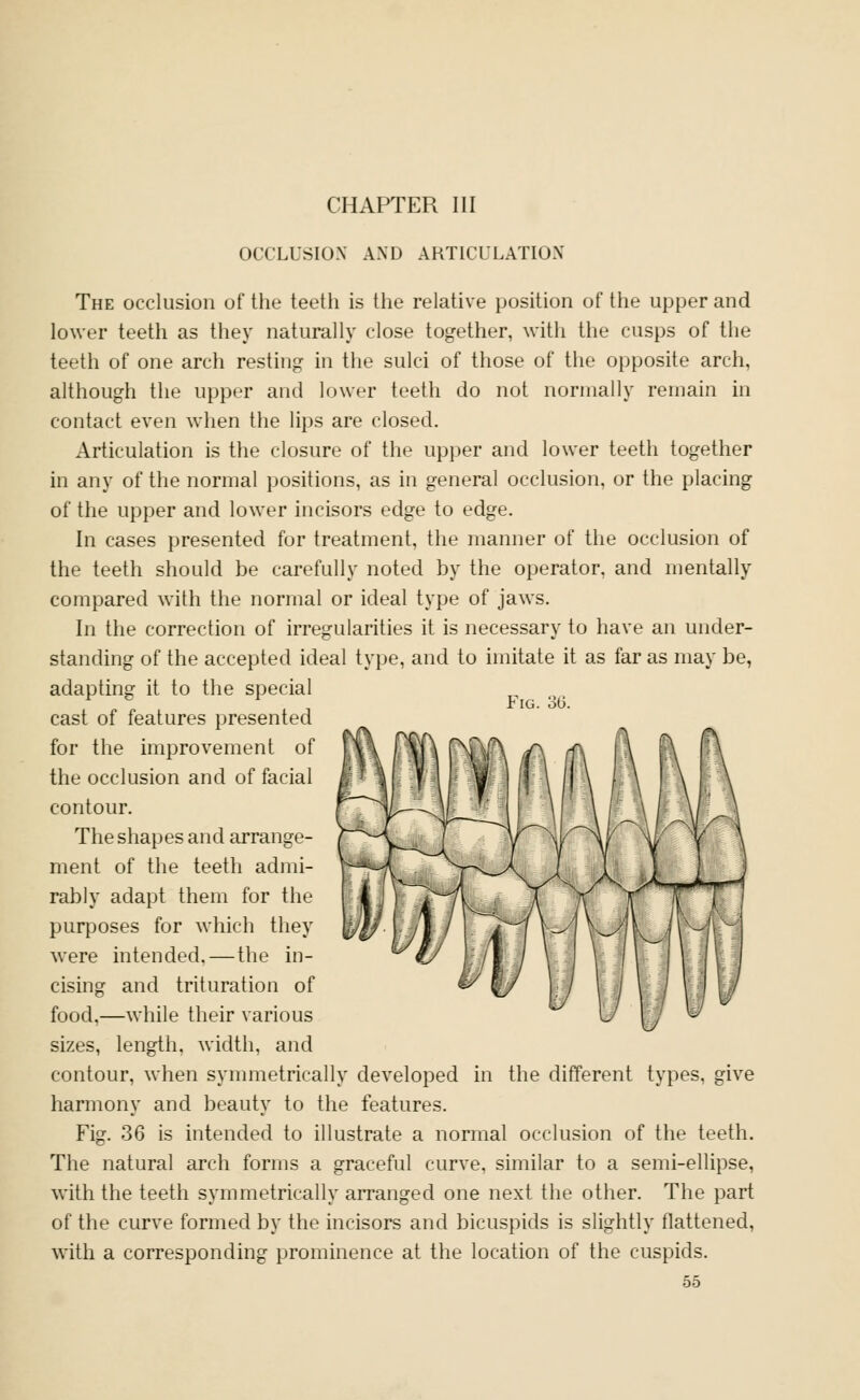 OCCLUSION AND ARTICULATION The occlusion of the teeth is the relative position of the upper and lower teeth as they naturally close together, with the cusps of the teeth of one arch resting in the sulci of those of the opposite arch, although the upper and lower teeth do not normally remain in contact even when the lips are closed. Articulation is the closure of the upper and lower teeth together in any of the normal positions, as in general occlusion, or the placing of the upper and lower incisors edge to edge. In cases presented for treatment, the manner of the occlusion of the teeth should be carefully noted by the operator, and mentally compared with the normal or ideal type of jaws. In the correction of irregularities it is necessary to have an under- standing of the accepted ideal type, and to imitate it as far as may be, adapting it to the special ^ ^ ^ Pig. 30. cast of features presented for the improvement of the occlusion and of facial contour. The shapes and arrange- ment of the teeth admi- rably adapt them for the purposes for which they were intended.—the in- cising and trituration of food,—while their various sizes, length, width, and contour, when symmetrically developed in the different types, give harmony and beauty to the features. Fig. 36 is intended to illustrate a normal occlusion of the teeth. The natural arch forms a graceful curve, similar to a semi-ellipse, with the teeth symmetrically arranged one next the other. The part of the curve formed by the incisors and bicuspids is slightly flattened, with a corresponding prominence at the location of the cuspids.