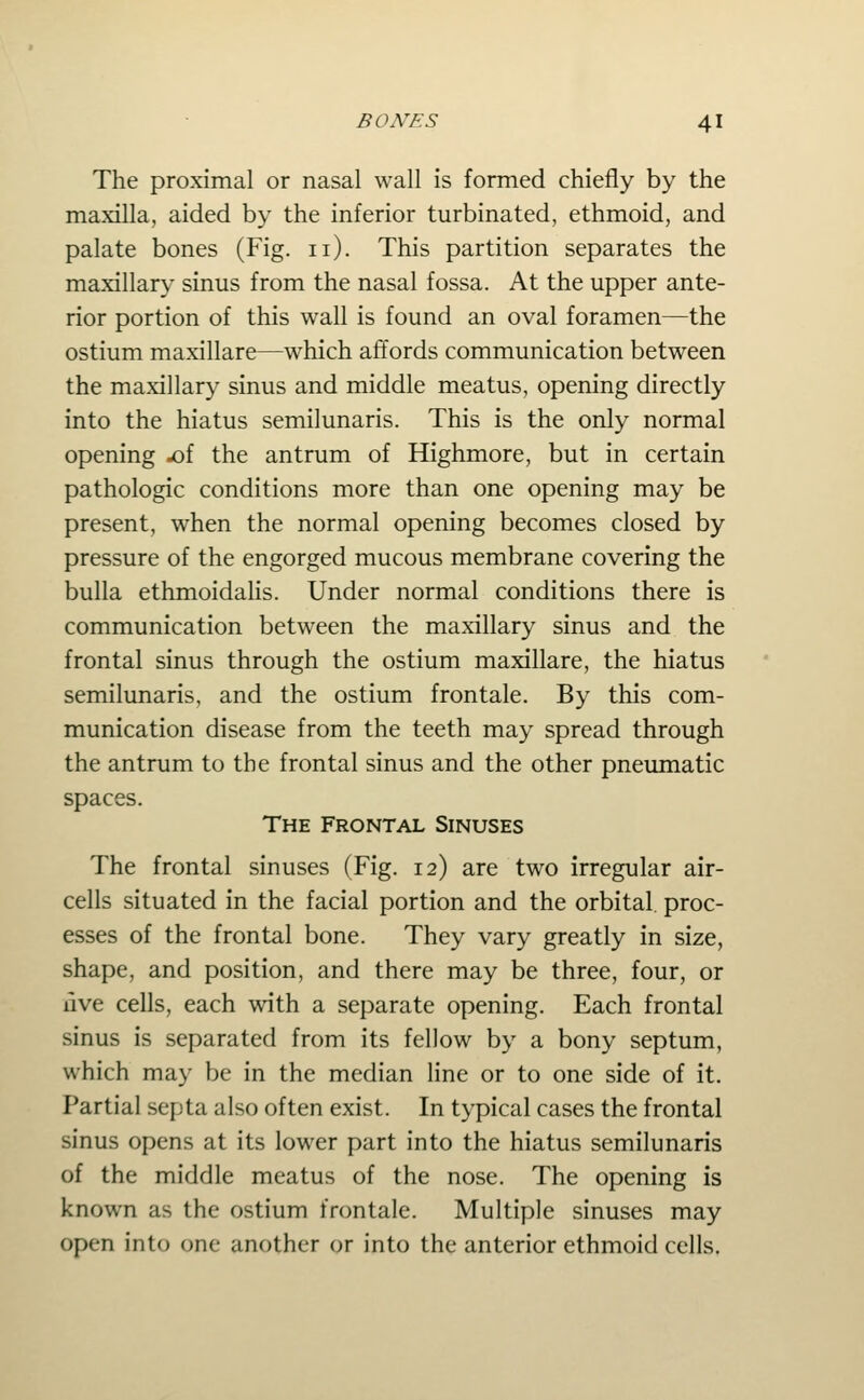 The proximal or nasal wall is formed chiefly by the maxilla, aided by the inferior turbinated, ethmoid, and palate bones (Fig. 11). This partition separates the maxillary sinus from the nasal fossa. At the upper ante- rior portion of this wall is found an oval foramen—the ostium maxillare—which affords communication between the maxillary sinus and middle meatus, opening directly into the hiatus semilunaris. This is the only normal opening -of the antrum of Highmore, but in certain pathologic conditions more than one opening may be present, when the normal opening becomes closed by pressure of the engorged mucous membrane covering the bulla ethmoidahs. Under normal conditions there is communication between the maxillary sinus and the frontal sinus through the ostium maxillare, the hiatus semilunaris, and the ostium frontale. By this com- munication disease from the teeth may spread through the antrum to the frontal sinus and the other pneumatic spaces. The Frontal Sinuses The frontal sinuses (Fig. 12) are two irregular air- cells situated in the facial portion and the orbital, proc- esses of the frontal bone. They vary greatly in size, shape, and position, and there may be three, four, or live cells, each with a separate opening. Each frontal sinus is separated from its fellow by a bony septum, which may be in the median line or to one side of it. Partial septa also often exist. In typical cases the frontal sinus opens at its lower part into the hiatus semilunaris of the middle meatus of the nose. The opening is known as the ostium frontale. Multiple sinuses may open into one another or into the anterior ethmoid cells.
