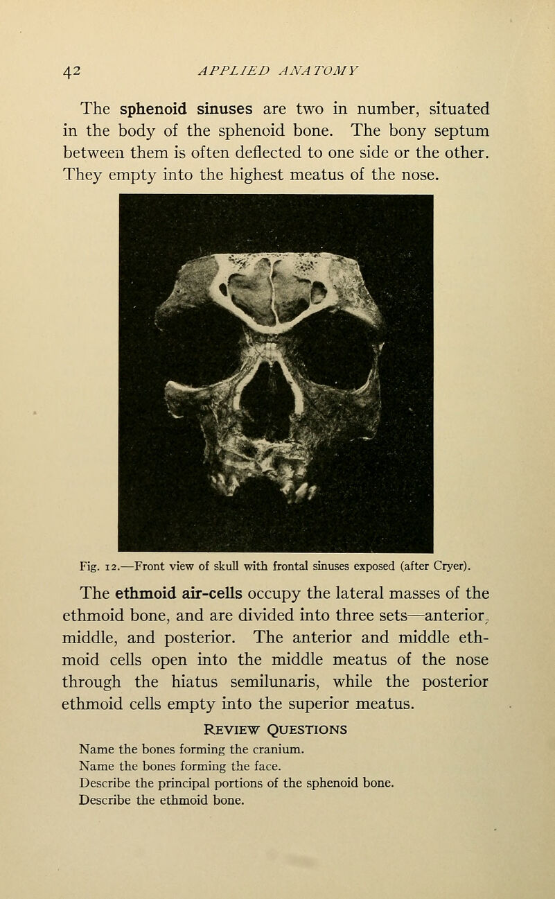 The sphenoid sinuses are two in number, situated in the body of the sphenoid bone. The bony septum between them is often deflected to one side or the other. They empty into the highest meatus of the nose. Fig. 12.—Front view of skuU with frontal sinuses exposed (after Cryer). The ethmoid air-cells occupy the lateral masses of the ethmoid bone, and are divided into three sets—anterior,, middle, and posterior. The anterior and middle eth- moid cells open into the middle meatus of the nose through the hiatus semilunaris, while the posterior ethmoid cells empty into the superior meatus. Review Questions Name the bones forming the cranium. Name the bones forming the face. Describe the principal portions of the sphenoid bone. Describe the ethmoid bone.