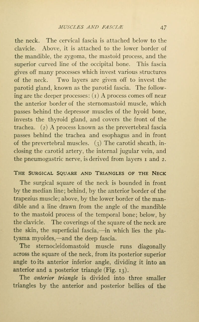 the neck. The cervical fascia is attached below to the clavicle. Above, it is attached to the lower border of the mandible, the zygoma, the mastoid process, and the superior curved line of the occipital bone. This fascia gives off many processes which invest various structures of the neck. Two layers are given off to invest the parotid gland, known as the parotid fascia. The follow- ing are the deeper processes: (i) A process comes oft near the anterior border of the sternomastoid muscle, which passes behind the depressor muscles of the hyoid bone, invests the thyroid gland, and covers the front of the trachea. (2) A process known as the prevertebral fascia passes behind the trachea and esophagus and in front of the prevertebral muscles. (3) The carotid sheath, in- closing the carotid artery, the internal jugular vein, and the pneumogastric nerve, is derived from layers i and 2. The Surgical Square and Triangles of the Neck The surgical square of the neck is bounded in front by the median hne; behind, by the anterior border of the trapezius muscle; above, by the lower border of the man- dible and a Hne drawn from the angle of the mandible to the mastoid process of the temporal bone; below, by the clavicle. The coverings of the square of the neck are the skin, the superficial fascia,—in which lies the pla- tysma myoides,—and the deep fascia. The sternocleidomastoid muscle runs diagonally across the square of the neck, from its posterior superior angle to its anterior inferior angle, dividing it into an anterior and a posterior triangle (Fig. 13). The anterior triangle is divided into three smaller triangles by the anterior and posterior bellies of the