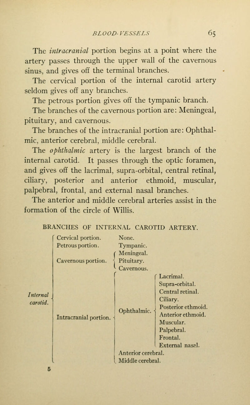 The intracranial portion begins at a point where the artery passes through the upper wall of the cavernous sinus, and gives off the terminal branches. The cervical portion of the internal carotid artery seldom gives off any branches. The petrous portion gives off the tympanic branch. The branches of the cavernous portion are: Meningeal, pituitary, and cavernous. The branches of the intracranial portion are: Ophthal- mic, anterior cerebral, middle cerebral. The ophthalmic artery is the largest branch of the internal carotid. It passes through the optic foramen, and gives off the lacrimal, supra-orbital, central retinal, ciliary, posterior and anterior ethmoid, muscular, palpebral, frontal, and external nasal branches. The anterior and middle cerebral arteries assist in the formation of the circle of Willis. BRANCHES OF INTERNAL CAROTID ARTERY. Inlernal carotid. ' Cervical portion. Petrous portion. Cavernous portion. • None. Tympanic. ^ Meningeal. Pituitary. ^ Cavernous. r ■ Lacrimal. Supra-orbital. Central retinal. Intracranial portion. Ophthalmic. ■< Ciliary. Posterior ethmoid Anterior ethmoid. Muscular. Palpebral. Frontal. External nasal. Anterior cerebral. ^ ^ Middle cerebr al.