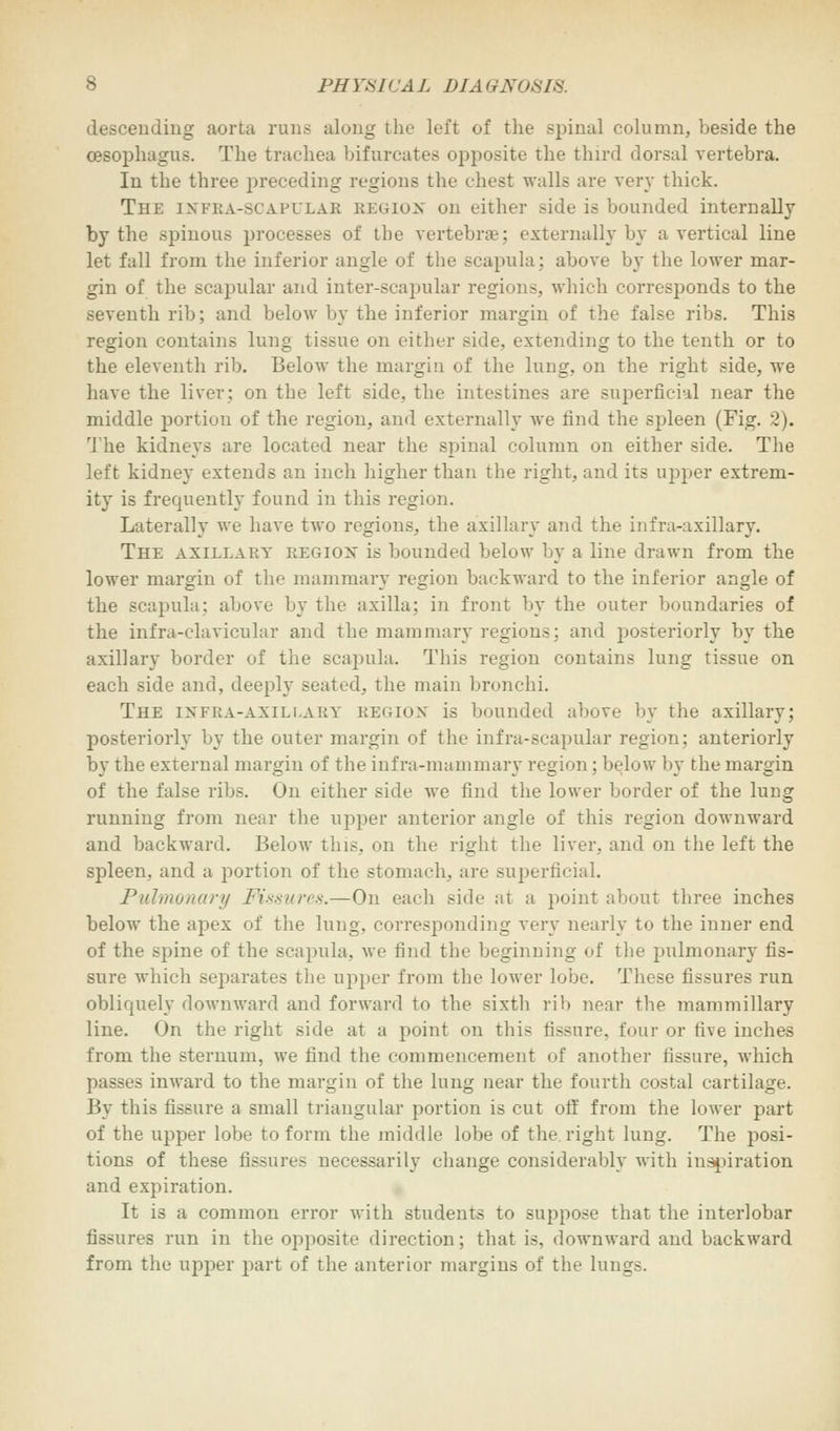 descending aorta runs along the left of the spinal column, beside the oesophagus. The trachea bifurcates opposite the third dorsal vertebra. In the three preceding regions the chest walls are very thick. The INFEA-SCA.PULAB REGION on either side is bounded internally by the spinous processes of the vertebra-: externally by a vertical line let fall from the inferior angle of the scapula: above by the lower mar- gin of the scapular and inter-scapular regions,, which corresponds to the seventh rib; and below by the inferior margin of the false ribs. This region contains lung tissue on either side, extending to the tenth or to the eleventh rib. Below the margin of the lung, on the right side, we have the liver; on the left side, the intestines are superficial near the middle jDortion of the region, and externally we find the spleen (Fig. 2). The kidneys are located near the spinal column on either side. The left kidney extends an inch higher than the right, and its upper extrem- ity is frequently found in this region. Laterally we have two regions, the axillary and the infra-axillary. The axillary region is bounded below by a line drawn from the lower margin of the mammary region backward to the inferior angle of the scapula: above by the axilla; in front by the outer boundaries of the infra-clavicular and the mammary regions; and posteriorly by the axillary border of the scapula. This region contains lung tissue on each side and, deeply seated, the main bronchi. The infra-axillary region is bounded above by the axillary; posteriorly by the outer margin of the infra-scapular region; anteriorly by the external margin of the infra-mammary region; below by the margin of the false ribs. On either side we find the lower border of the lung running from near the upper anterior angle of this region downward and backward. Below this, on the right the liver, and on the left the spleen, and a portion of the stomach, are superficial. Pulmonary Fissures.—On each side at a point about three inches below the apex of the lung, corresponding very nearly to the inner end of the spine of the scapula, we find the beginning of the pulmonary fis- sure which separates the upper from the lower lobe. These fissures run obliquely downward and forward to the sixth rib near the mammillary line. On the right side at a point on this fissure, four or five inches from the sternum, we find the commencement of another fissure, which - inward to the margin of the lung near the fourth costal cartilage. By this fissure a small triangular portion is cut off from the lower part of the upper lobe to form the middle lobe of the right lung. The posi- tions of these fissures necessarily change considerably with inspiration and expiration. It is a common error with students to suppose that the interlobar fissures run in the opposite direction; that is, downward and backward from the upper part of the anterior margins of the lungs.