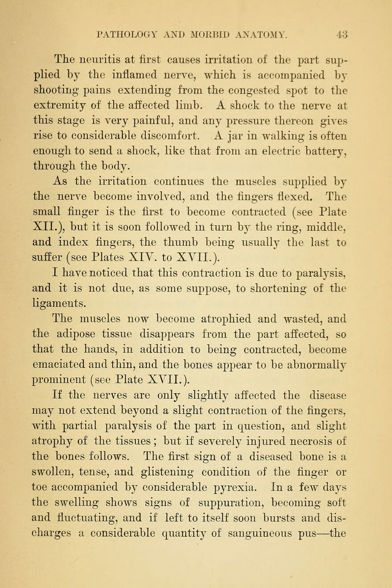 The neuritis at first causes irritation of the part sup- plied by the inflamed nerve, which is accompanied b}^ shooting pains extending from the congested spot to the extremity of the affected limb. A shock to the nerve at this stage is very painful, and any pressure thereon gives rise to considerable discomfort, A jar in walking is often enough to send a shock, like that from an electric battery, through the body. As the irritation continues the muscles supplied by the nerve become involved, and the fingers flexed. The small finger is the first to become contracted (see Plate XII.), but it is soon followed in turn by the ring, middle, and index fingers, the thumb being usually the last to suffer (see Plates XIY. to XYIL). I have noticed that this contraction is due to paralysis, and it is not due, as some suppose, to shortening of the ligaments. The muscles now become atrophied and wasted, and the adipose tissue disappears from the part affected, so that the hands, in addition to being contracted, become emaciated and thin, and the bones appear to be abnormally prominent (see Plate XYII.). If the nerves are only slightly affected the disease may not extend beyond a slight contraction of the fingers, with partial paralysis of the part in question, and slight atrophy of the tissues; but if severely injured necrosis of the bones follows. The first sign of a diseased bone is a swollen, tense, and glistening condition of the finger or toe accompanied by considerable pyrexia. In a few days the swelling shows signs of suppuration, becoming soft and fluctuating, and if left to itself soon bursts and dis- charges a considerable quantity of sanguineous pus—the