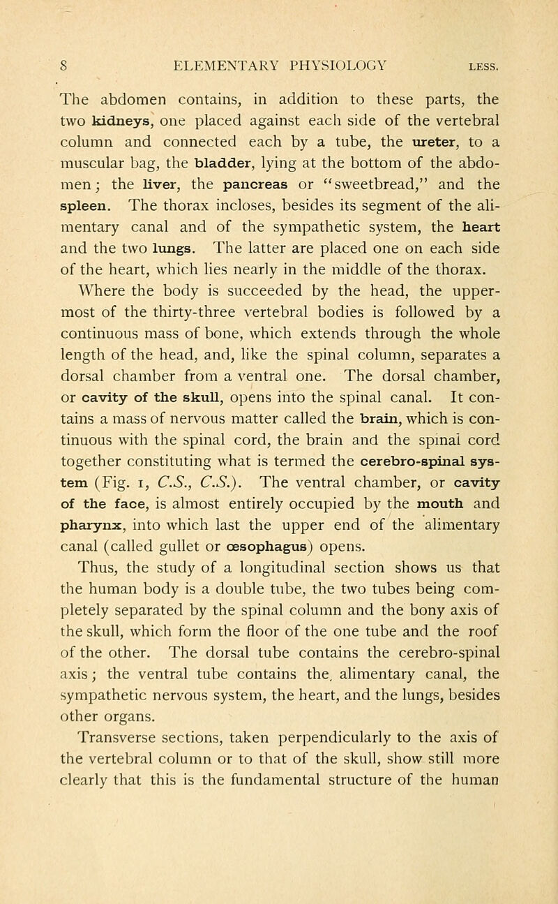 The abdomen contains, in addition to these parts, the two kidneys, one placed against each side of the vertebral column and connected each by a tube, the ureter, to a muscular bag, the bladder, lying at the bottom of the abdo- men; the liver, the pancreas or sweetbread, and the spleen. The thorax incloses, besides its segment of the ali- mentary canal and of the sympathetic system, the heart and the two lungs. The latter are placed one on each side of the heart, which lies nearly in the middle of the thorax. Where the body is succeeded by the head, the upper- most of the thirty-three vertebral bodies is followed by a continuous mass of bone, which extends through the whole length of the head, and, like the spinal column, separates a dorsal chamber from a ventral one. The dorsal chamber, or cavity of the skull, opens into the spinal canal. It con- tains a mass of nervous matter called the brain, which is con- tinuous with the spinal cord, the brain and the spinal cord together constituting what is termed the cerebro-spinal sys- tem (Fig. i, C.S., C.S.). The ventral chamber, or cavity of the face, is almost entirely occupied by the mouth and pharynx, into which last the upper end of the alimentary canal (called gullet or oesophagus) opens. Thus, the study of a longitudinal section shows us that the human body is a double tube, the two tubes being com- pletely separated by the spinal column and the bony axis of the skull, which form the floor of the one tube and the roof of the other. The dorsal tube contains the cerebro-spinal axis; the ventral tube contains the. alimentary canal, the sympathetic nervous system, the heart, and the lungs, besides other organs. Transverse sections, taken perpendicularly to the axis of the vertebral column or to that of the skull, show still more clearly that this is the fundamental structure of the human