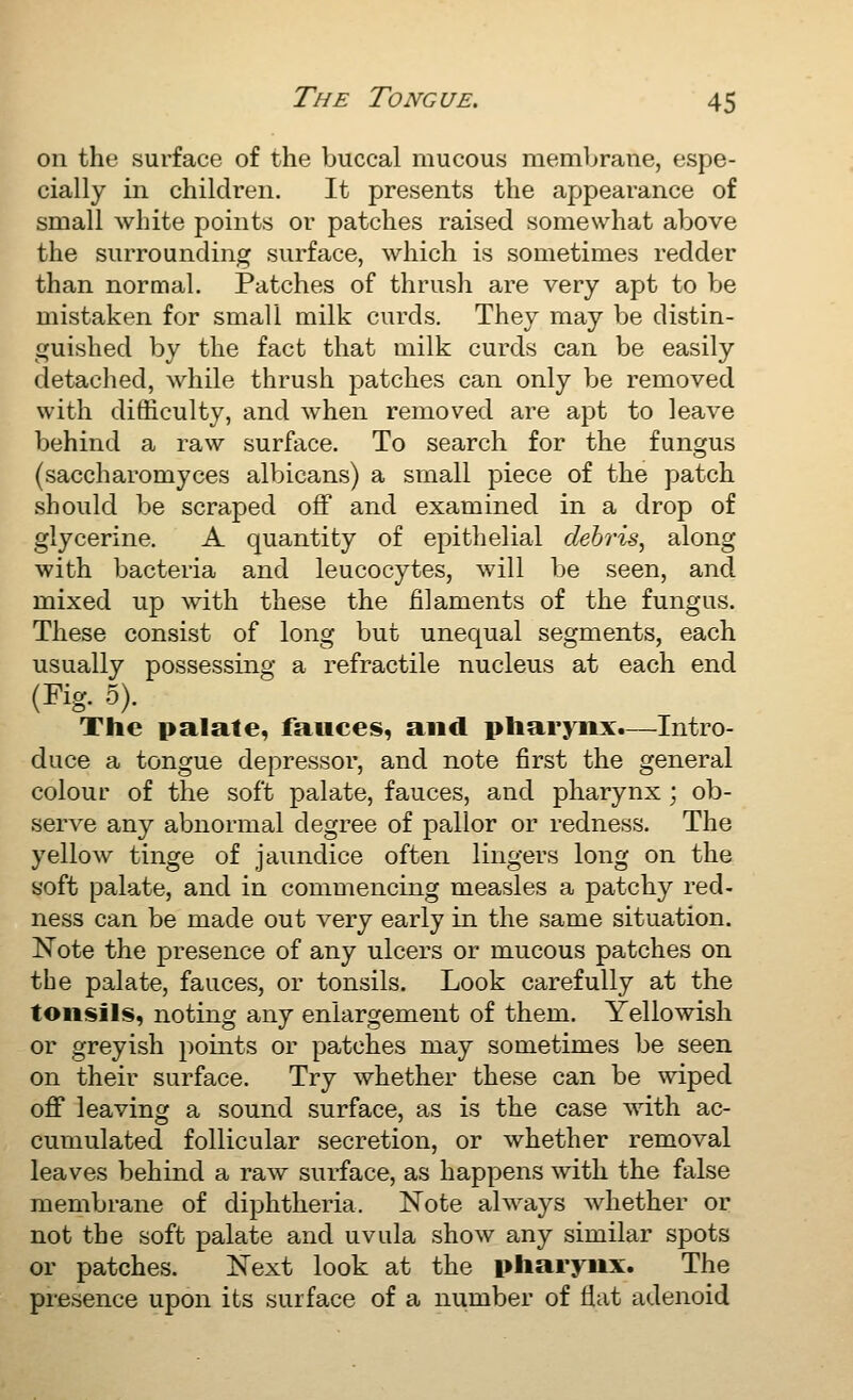 on the surface of the buccal mucous membrane, espe- cially in children. It presents the appearance of small white points or patches raised somewhat above the surrounding surface, which is sometimes redder than normal. Patches of thrush are very apt to be mistaken for small milk curds. They may be distin- guished by the fact that milk curds can be easily detached, while thrush i:)atches can only be removed with difficulty, and when removed are apt to leave behind a raw surface. To search for the fungus (saccharomyces albicans) a small piece of the patch should be scraped off and examined in a drop of glycerine. A quantity of epithelial debris^ along with bacteria and leucocytes, will be seen, and mixed up with these the filaments of the fungus. These consist of long but unequal segments, each usually possessing a refractile nucleus at each end (Fig. 5). The palate, fauces, and pharynx.—Intro- duce a tongue depressor, and note first the general colour of the soft palate, fauces, and pharynx; ob- serve any abnormal degree of pallor or redness. The yellow tinge of jaundice often lingers long on the soft palate, and in commencing measles a patchy red- ness can be made out very early in the same situation. Note the presence of any ulcers or mucous patches on the palate, fauces, or tonsils. Look carefully at the tonsils, noting any enlargement of them. Yellowish or greyish points or patches may sometimes be seen on their surface. Try whether these can be wiped oflf leaving a sound surface, as is the case with ac- cumulated follicular secretion, or whether removal leaves behind a raw surface, as happens with the false membrane of diphtheria. Note always whether or not the soft palate and uvula show any similar spots or patches. Next look at the pharynx. The presence upon its surface of a number of flat adenoid