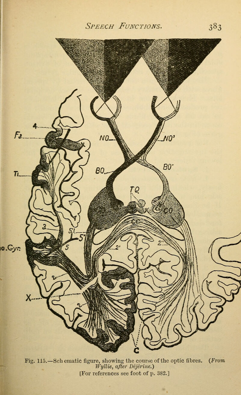 \Q.Qyr, Fig. 115.—Sch ematic figure, showing the course of the optic fibres. (From Wyllie, after Bejerine.) [For references see foot of i>. 382.]
