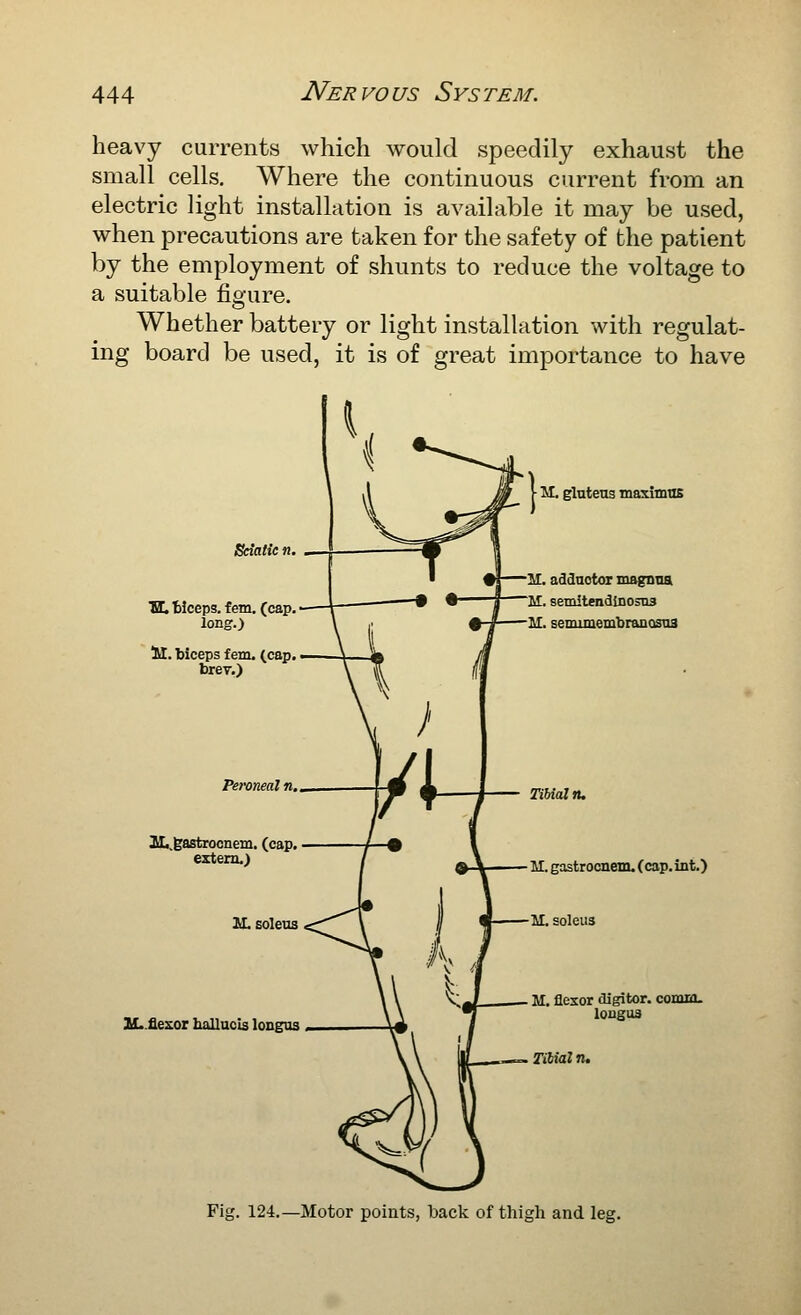 heavy currents which would speedily exhaust the small cells. Where the continuous current from an electric light installation is available it may be used, when precautions are taken for the safety of the patient by the employment of shunts to reduce the voltage to a suitable figure. Whether battery or light installation with regulat- ing board be used, it is of great importance to have Udalic n. TEL Weeps, fern. (cap. long.) U. biceps fern. (cap. brev.) Peroneal n. SL.gastrocnem. (cap. extern.) M. soleus 2f..flexor hallacis longos - M. glutens masimns M. adductor magnna M. semitendlDosns M. senumeoibranQsaa Tibial n. M. gastrocnem. (cap. int.) M. soleus M. flexor digitor. conmo. longu3 TiHal n. Fig. 124.—Motor points, back of thigh and leg.