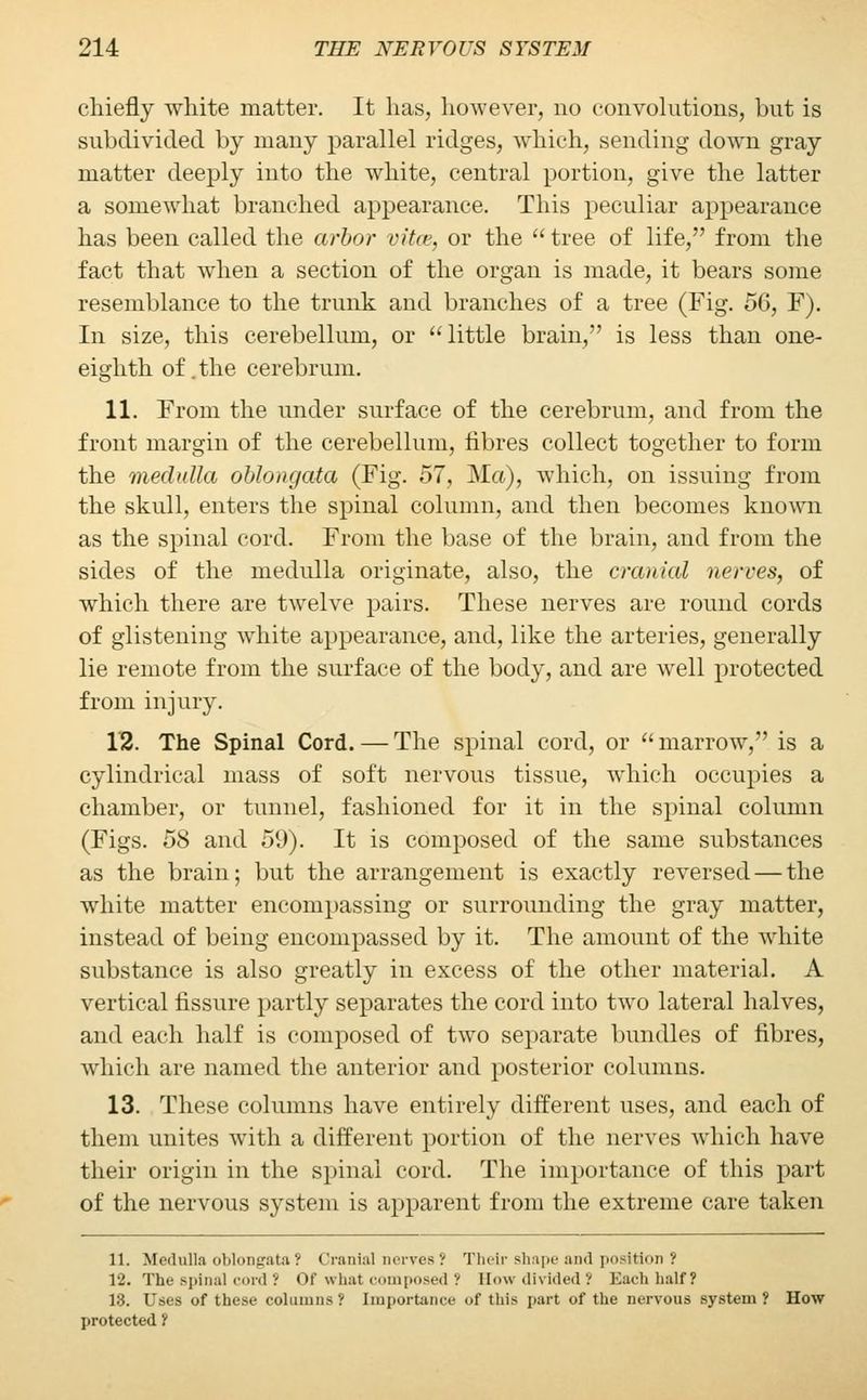 chiefly white matter. It has, however, no convolutions, but is subdivided by many parallel ridges, which, sending down gray matter deeply into the white, central portion, give the latter a somewhat branched appearance. This peculiar appearance has been called the arbor vita', or the  tree of life, from the fact that when a section of the organ is made, it bears some resemblance to the trunk and branches of a tree (Fig. 56, F). In size, this cerebellum, or little brain, is less than one- eighth of .the cerebrum. 11. From the under surface of the cerebrum, and from the front margin of the cerebellum, fibres collect together to form the medulla oblongata (Fig. 57, Ma), which, on issuing from the skull, enters the spinal column, and then becomes known as the spinal cord. From the base of the brain, and from the sides of the medulla originate, also, the cranial nerves, of which there are twelve pairs. These nerves are round cords of glistening white appearance, and, like the arteries, generally lie remote from the surface of the body, and are well protected from injury. V2. The Spinal Cord.—The spinal cord, or marrow, is a cylindrical mass of soft nervous tissue, which occupies a chamber, or tunnel, fashioned for it in the spinal column (Figs. 58 and 59). It is composed of the same substances as the brain; but the arrangement is exactly reversed — the white matter encompassing or surrounding the gray matter, instead of being encompassed by it. The amount of the white substance is also greatly in excess of the other material. A vertical fissure partly separates the cord into two lateral halves, and each half is composed of two separate bundles of fibres, which are named the anterior and posterior columns. 13. These columns have entirely different uses, and each of them unites with a different portion of the nerves which have their origin in the spinal cord. The importance of this part of the nervous system is apparent from the extreme care taken 11. Medulla oblongata? Cranial nerves? Their shape and position '; 12. The spinal cord ? Of what composed ? How divided? Bach half? 13. Uses of these columns ? Importance of this part of the nervous system ? How protected ?