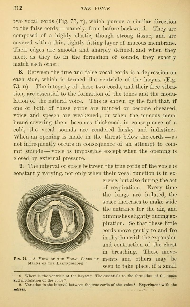two vocal cords (Fig. 73, f), which pursue a similar direction to the false cords — namely, from before backward. They are composed of a highly elastic, though strong tissue, and are covered with a thin, tightly fitting layer of mucous membrane. Their edges are smooth and sharply defined, and when they meet, as they do in the formation of sounds, they exactly match each other. 8. Between the true and false vocal cords is a depression on each side, which is termed the ventricle of the larynx (Fig. 73, d). The integrity of these two cords, and their free vibra- tion, are essential to the formation of the tones and the modu- lation of the natural voice. This is shown by the fact that, if one or both of these cords are injured or become diseased. voice and speech are weakened; or when the mucous mem- brane covering them becomes thickened, in consequence of a cold, the vocal sounds are rendered husky and indistinct. When an opening is made in the throat below the cords — as not infrequently occurs in consequence of an attempt to com- mit suicide — voice is impossible except when the opening is closed by external pressure. 9. The interval or space between the true cords of the voice is constantly varying, not only when their vocal function is in ex- ercise, but also during the act of respiration. Every time the lungs are inflated, the space increases to make wide the entrance for the air, and diminishes slightly during ex- piration. So that these little cords move gently to and fro in rhythm with the expansion and contraction of the chest in breathing. These move- Fi». 74. — a View of the Vocal cords bt ments and others may be MriN- of the Laetngo , , , .p ,, seen to take place, it a small 8. Where is the ventricle of the larynx ? The essentials to the formation of the tones •nd modulation of the voice? 9. Variation in the interval between the true cords of the voice ? Experiment with the