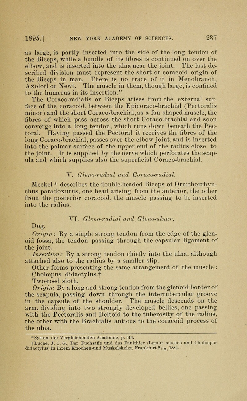 as large, is partl}^ inserted into the side of the long tendon of the Biceps, while a bundle of its fibres is continvied on over the elbow, and is inserted into the ulna near the joint. The last de- scribed division must represent the short or coracoid origin of the Biceps in man. There is no trace of it in Menobranch, Axolotl or Newt. The muscle in them, though large, is confined to the humerus in its insertion. The Coraco-radialis or Biceps arises from the external sur- face of the coracoid, between the Epicoraco-brachial (Pectoralis minor) and the short Coraco-brachial, as a fan shaped muscle, the fibres of which pass across the short Coraco-brachial and soon converge into a long tendon, which runs down beneath the Pec- toral. Having passed the Pectoral it receives the fibres of the long Coraco-brachial, passes over the elbow joint, and is inserted into the palmar surface of the upper end of the radius close to the joint. It is supplied by the nerve which perforates the scap- ula and which supplies also the superficial Coraco-brachial. Y. Gleno-radial and Coraco-radial. Meckel * describes the double-headed Biceps of Ornithorrhyn- chus paradoxurus, one head arising from the anterior, the other from the posterior coracoid, the muscle passing to be inserted into the radius. YI. Gleno-radial and Gleno-idnar. Dog. Origin: By a single strong tendon from the edge of the glen- oid fossa, the tendon passing through the capsular ligament of the joint. Insertion: By a strong tendon chiefly- into the ulna, although attached also to the radius by a smaller slip. Other forms presenting the same arrangement of the muscle : Choloepus didact^-lus.f Two-toed sloth. Origin: ^y a long and strong tendon from the glenoid border of. the scapula, passing down through the intertubercular groove in the capsule of the shoulder. The muscle descends on the arm, dividing into two strongly develoijed bellies, one passing with the Pectoralis and Deltoid to the tuberosity of the radius, the other with the Brachialis anticus to the coracoid process of the ulna. * System der Vergleichenden Anatomie, p. 516. tLucae, J. C. G., Der Fuchsafie und das Faulthier (Lemur macaco and Choloepus didactylus) in ihrem Knochen-und Muskelskelet, Frankfurt ^j m, 1882.