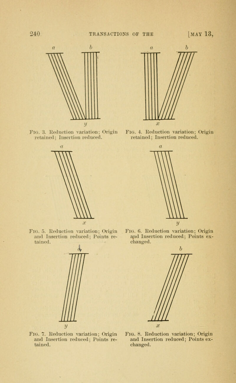 h Fig. 3. Keductioii vari.ition; Origin retained; Insertion reduced. Fig. 4. Eeduction variation; Origin retained; Insertion reduced. Fig. 5. Reduction variation; Oiigin and Insertion reduced; Points re- tained. Fig. 6. Reduction variation; Origin and Insertion reduced; Points ex- changed. h Fig. 7. Reduction variation; Origin and Insertion rediiced; Points re- tained. Fig. 8. Reduction variation; Origin and Insertion reduced; Points ex- changed.