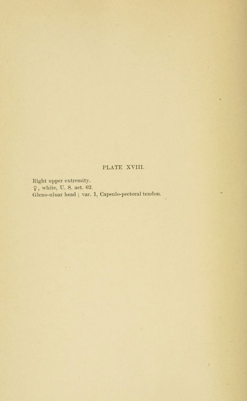 Right upper extremity. 9, white, U. S. aet. 62.