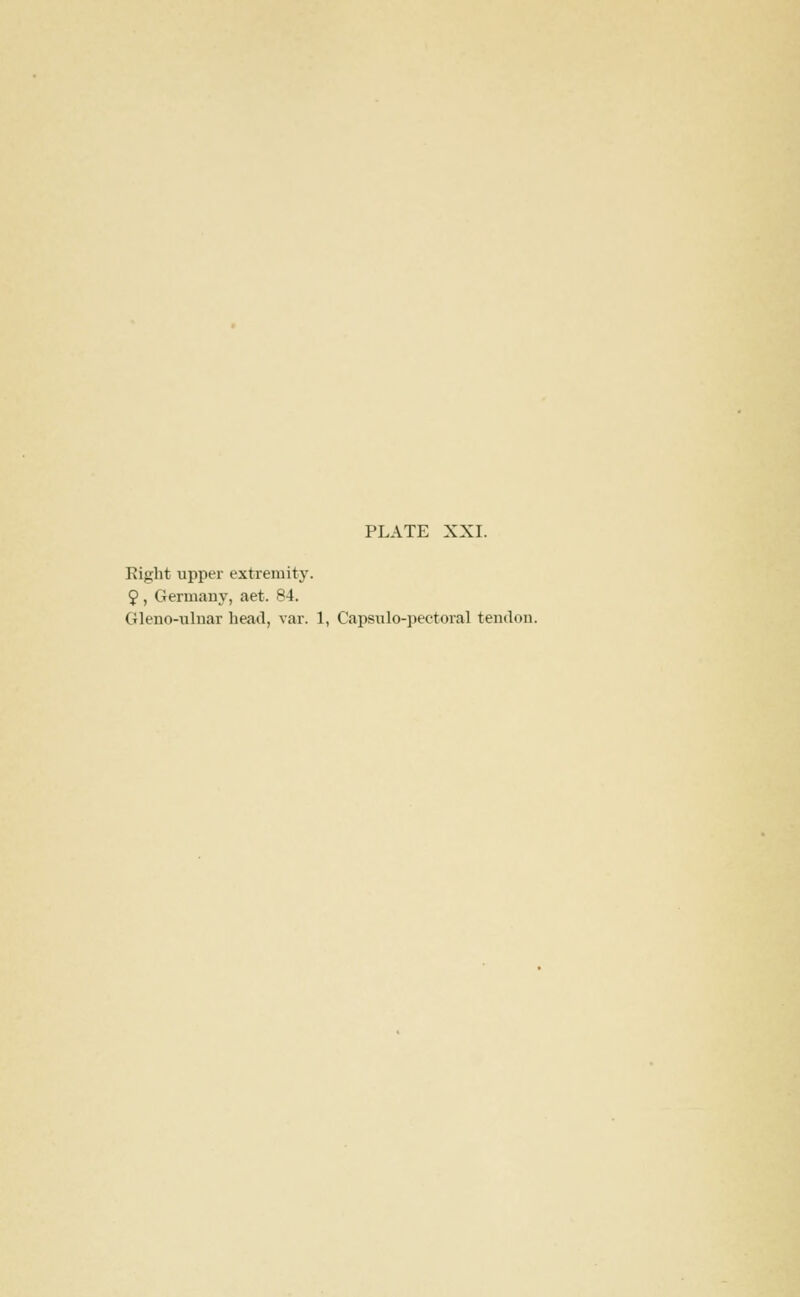 Eight upper extremity. 9, Gennany, aet. 84.