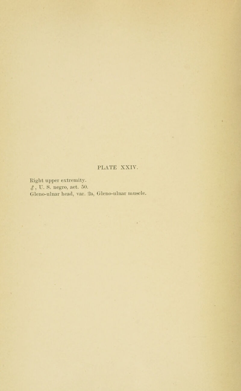 Right upper extremity. $, r. S. negro, aet. 50. Gleiio-uluar head, var. 2a, Gleno-uhiar muscle.