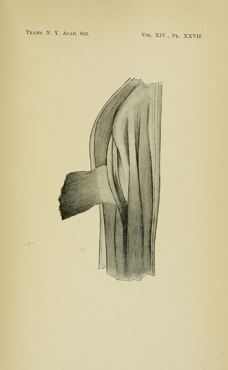 Vol. XIv., Pl. XXVII. /■A-,