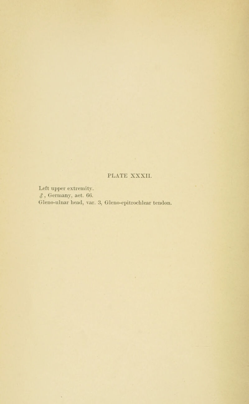 Left ui>i)er extieniity. $, Germany, aet. 66. Gleuo-ulnar head, var. 3, Gleno-epitroclilear tendou.