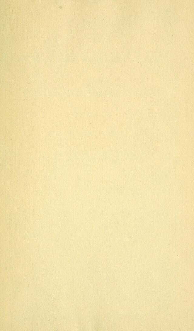 digitised image 3