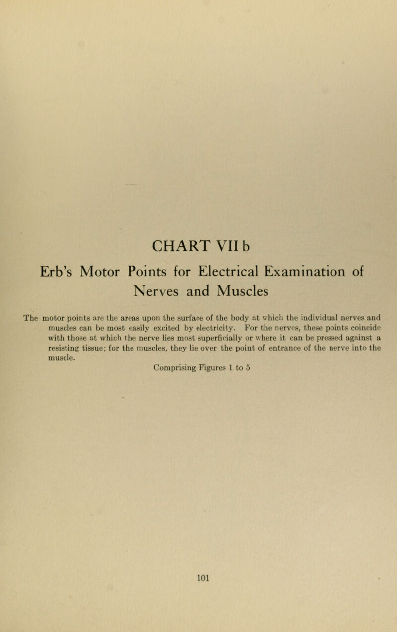 Erb's Motor Points for Electrical Examination of Nerves and Muscles The motor points arc the areas upon the surface of the body at which the individual nerves and muscles can be most easily excited by electricity. For the nerves, these points coincide with those al which the nerve lies most superficially or where it can be pressed against a resisting tissue; for the muscles, they lie over the point of entrance of the nerve into the muscle. Comprising Figures 1 to 5