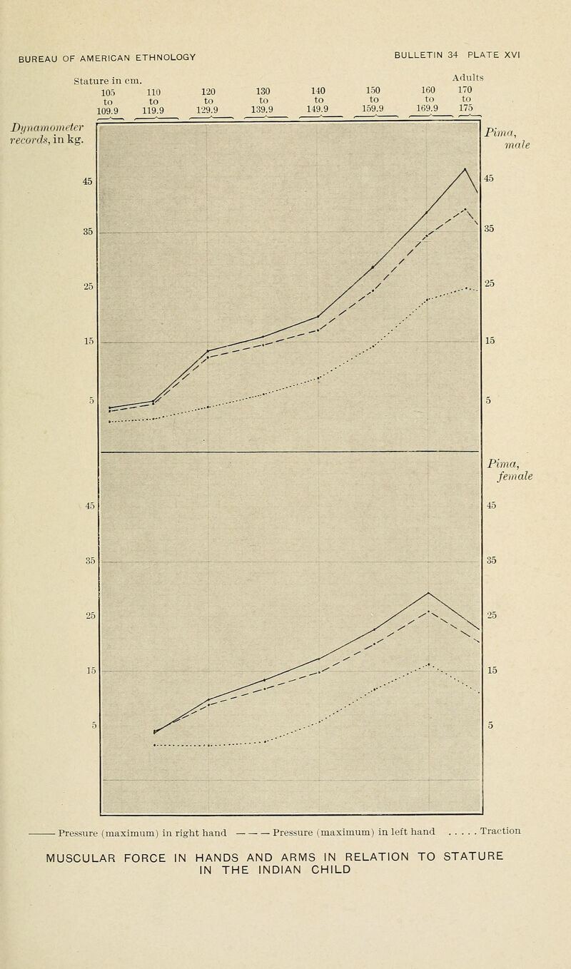 Stature in cm. 105 110 120 to to to 109.9 119.9 129.9 130 140 to to 39.9 149.9 BULLETIN 34 PLATE XVI Adults 1.50 160 170 to to to 159.9 169.9 175 Dynamometer [7 records, in kg. 45 /'\ Pima, male 35 Pima, female 45 35 25 — Pressure (maximum) in right iiand Pressure (maximum) in left liand Traction MUSCULAR FORCE IN HANDS AND ARMS IN RELATION TO STATURE IN THE INDIAN CHILD