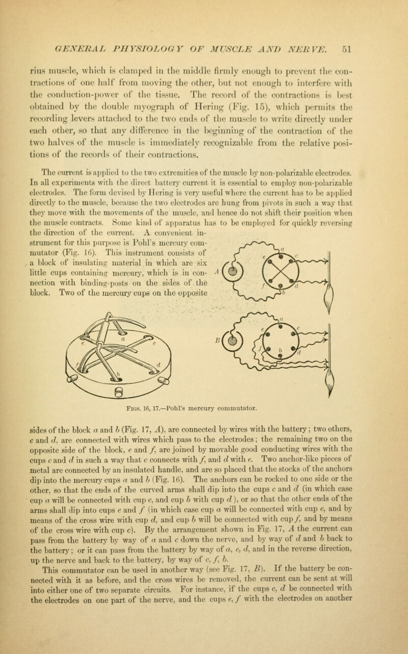 rius niusclo, which is ohunpcd in the middle firndy cnouj^h to prevent the con- tnietions of one half from moving the otlier, Wnt not en(ni<rh to interfere with the conduction-power of the tissue. The record of the contractions is best ohtained by tlie douhle myogra})h of Ilering (Fig. 15), wliieh permits the reeouling levers attached to the two ends of the muscle to write directly under each other, so that any diiference in the beginning of the contraction of the two halves of the muscle is immediately recognizable from the relative posi- tions of the records of their contractions. The current is applied to the two extremities of the muscle by non-polarizable electrodes. In all experiments with the direct battery current it is essential to emi)loy non-polarizable electrodes. The tbrm devised by Hering is very useful where the current has to be apjdied d'u-ectly to the muscle, because the two electrodes are hung from j^ivots in such a way that they move with the movements of the muscle, and hence do not shift their position when the muscle contracts. Some kind of apparatus has to be employed for quickly reversing the direction of the current. A convenient in- strument for this purpose is Pohl's mercury com- mutator (Fig. 16). This instrument consists of a block of insulating material in which are six little cups containing mercury, which is in con- nection with binding-posts on the sides of the block. Two of the mercury cups on the opposite Figs. 16,17.—Pohl's mercury commutator. sides of the block a and h (Fig. 17, A), are connected by wires with the battery; two others, c and d, are connected with wires which pass to the electrodes; the remaining two on the opposite side of the block, e and /. are joined by movable good conducting wires with the cups c and d in such a way that c connects with /, and d with e. Two anchor-like pieces of metal are connected by an insulated handle, and are so placed that the stocks of the anchors dip into the mercury cups a and h (Fig. 16). The anchors can be rocked to one side or the other, so that the ends of the curved arms shall dip into the cups c and d (in which case cup a will be connected with cup c, and cup h with cup r?), or so that the other ends of the arms shall dip into cups e and / (in which case cup a will be connected with cup e, and by means of the cross wire with cup rf, and cup h will be connected with cup /, and by means of the cross wire with cup c). By the arrangement shown in Fig. 17, ^ the current can pass from the battery by way of a and c down the nerve, and by way of d and h back to the battery; or it can pass from the battery by way of a, e, d, and in the reverse direction, up the nerve and back to the battery, by way of c, /, h. This commutator can be used in another way (see Fig. 17, B). If the battery be con- nected with it as before, and the cross wires be removed, the current can be sent at will into either one of two separate circuits. For instance, if the cups c, d be connected with the electrodes on one part of the nerve, and the cups e, / with the electrodes on another