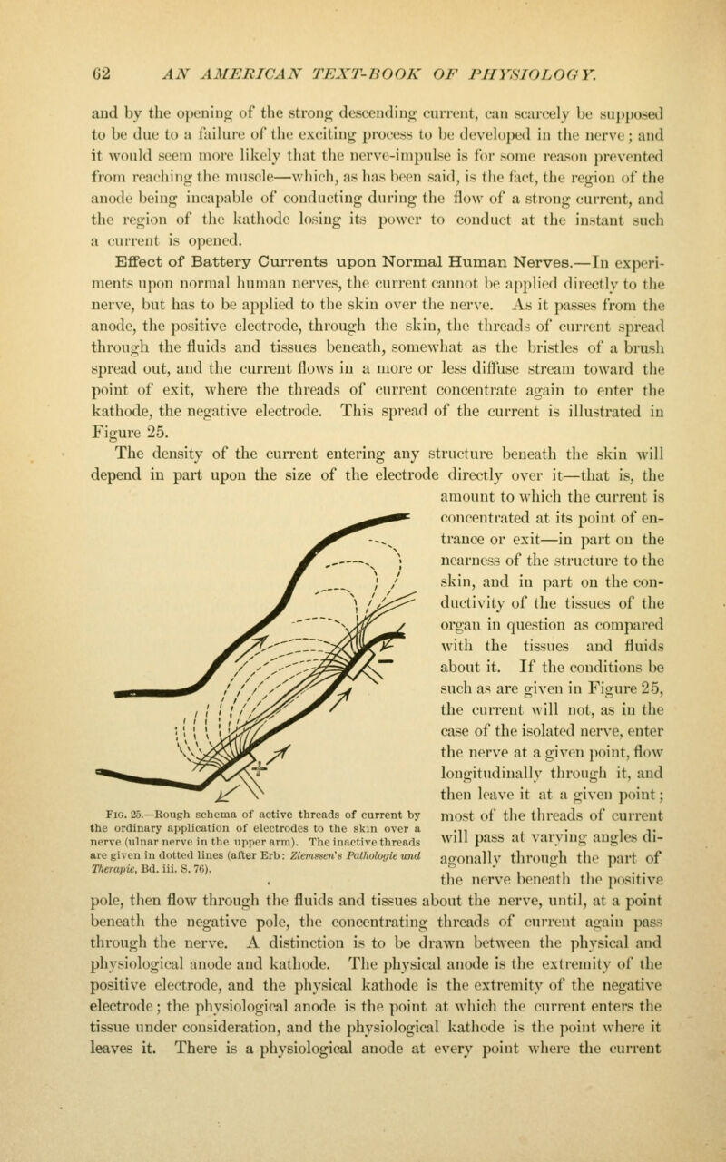 aud by the openiDg of the strong descending current, can scarcely be supposed to be due to a failure of the exciting process to be developed in the nerve; and it would seem more likely that the nerve-impulse is for some reason jirevented from reac-hiiig the muscle—which, as has been said, is the flict, the region of the anode being incapable of conducting during the flow of a strong current, and the region of the kathode losing its power to conduct at the instant such a current is ojiencd. Effect of Battery Currents upon Normal Human Nerves.—In experi- ments upon normal human nerves, the current cannot be applied directly to the nerve, but has to be applied to the skin over the nerve. As it passes from the anode, the positive electrode, through the skin, the threads of current spread through the fluids and tissues beneath, somewhat as the bristles of a brush spread out, and the current flows in a more or less difliisc stream toward the point of exit, where the threads of current concentrate again to enter the kathode, the negative electrode. This spread of the current is illustrated in Figure 25. The density of the current entering any structure beneath the skin will depend in part upon the size of the electrode directly over it—that is, the amount to which the current is concentrated at its point of en- trance or exit^—in part on the nearness of the structure to the skin, and in part on the con- ductivity of the tissues of the organ in question as compared with the tissues and fluids about it. If the conditions be such as are given in Figure 25, the current will not, as in the case of the isolated nerve, enter the nerve at a given point, flow longitudinally through it, and then leave it at a given point; most of the threads of current will pass at varying angles di- agonally through the part of the nerve beneath the positive pole, then flow through the fluids and tissues about the nerve, until, at a point beneath the negative pole, the concentrating threads of current again pass through the nerve. A distinction is to be drawn between the physical and physiological anode and kathode. The physical anode is the extremity of the positive electrode, and the physical kathode is the extremity of the negative electrode; the physiological anode is the point at which the current enters the tissue under consideration, and the physiological kathode is the point where it leaves it. There is a physiological anode at every point where the current Fig. 25.—Rough schema of active threads of current by the ordinary application of electrodes to the skin over a nerve (ulnar nerve in the upper arm). The inactive threads are given in dotted lines (after Erb: ZiemssetCs Pathologie und Therapie, Bd. iii. S. 76).