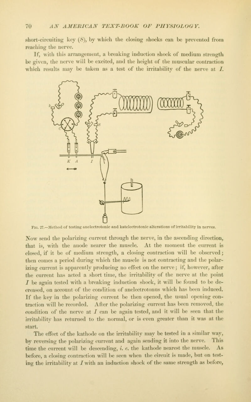 short-circuitiug key (N), by which the closing sliocks can be prevented from reaching the nerve. If, with this arrangenjt'ut, a breaking induction shock of medium strength be given, the nerve will be excited, and the height of the muscular contraction which results may be taken as a test of the irritability of the nerve at /. Fig. 27.—Method of testing anelectrotonic and katelectrotonic alterations of irritability in nerves. Now send the polarizing current through the nerve, in the ascending direction, that is, with the anode nearer the muscle. At the moment the current is closed, if it be of medium strength, a closing contraction will be observed; then comes a period during which the muscle is not contracting and the polar- izing current is apparently producing no effect on the nerve; if, however, after the current has acted a short time, the irritability of the nerve at the point / be again tested with a breaking induction shock, it will be found to be de- creased, on account of the condition of anelectrotonus which has been induced. If the key in the polarizing current be then opened, the usual opening con- traction will be recorded. After the polarizing current has been removed, the condition of the nerve at I can be again tested, and it will be seen that the jrritabilitv has returned to the normal, or is even greater than it was at the start. The effect of the kathode on the irritability may be tested in a similar way, by reversing the polarizing current and again sending it into the nerve. This time the current will be descending, i. e. the kathode nearest the mu.'^cle. As before, a closing contraction will be seen when the circuit is made, but on test- ing the irritability at /with an induction shock of the same strength as before,