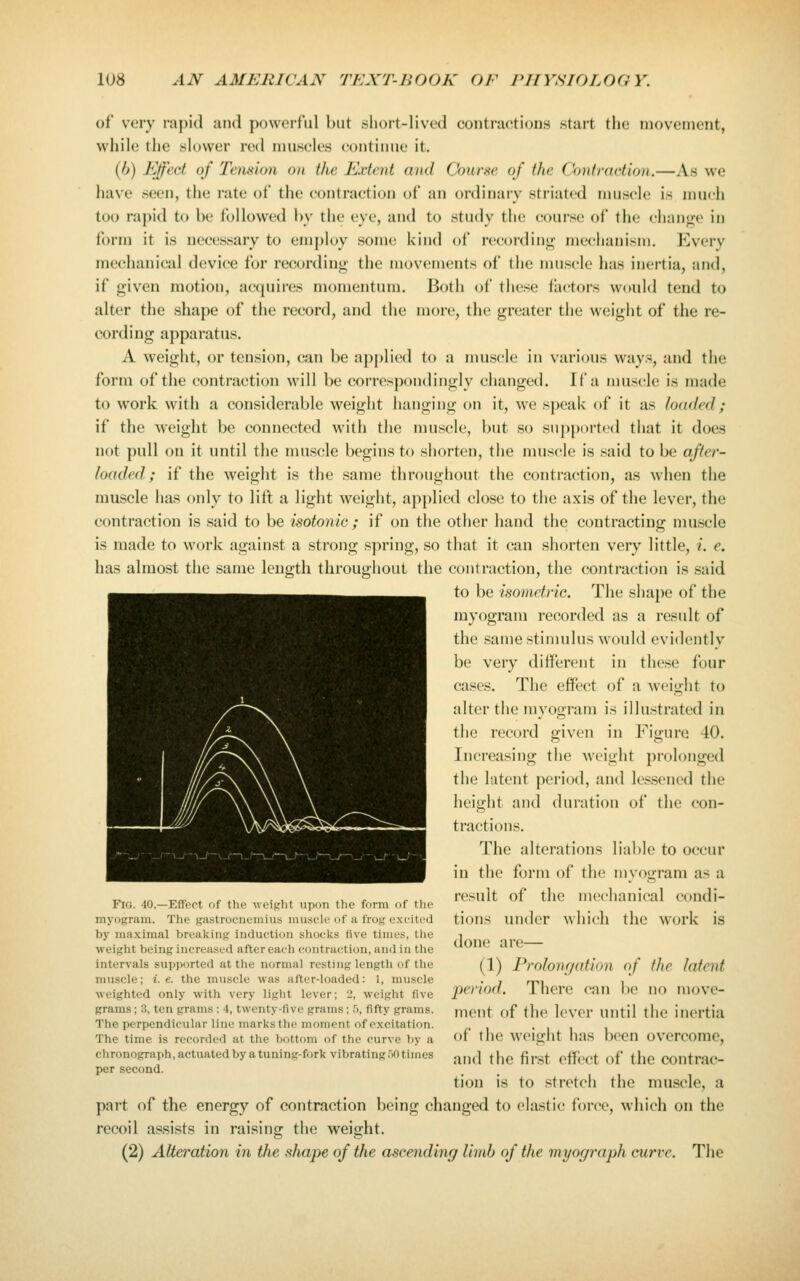 of very rapid and powerful but short-lived contractions start the moveiueiit, while the slower red muscles continue it. (6) Effect of Tension on the Extent and Course of the Contraction.—As we have seen, the rate of the contraction of an ordinary striated muscle is much too rapid to be followed by the eye, and to study the course of the chan<re in form it is necessary to employ some i<ind of recordini; mechanism. Every mechanical device for recording the movements of the muscle has inertia, and, if given motion, acquires momentum. Both of these factors would tend to alter the shape of the record, and the more, the greater the weight of the re- cording apparatus. A weight, or tension, can be applied to a muscle in various ways, and the form of the contraction will be correspondingly changed. If a muscle is made to work with a considerable weight hanging on it, we speak of it as loaded; if the weight be connected with the muscle, but so supported that it does not pull on it until the muscle begins to siiorten, the muscle is said to be after- loaded; if the weight is the same throughout the contraction, as when the muscle has only to lift a light weight, ajiplied close to the axis of the lever, the contraction is said to be isotonic ; if on the other hand the contracting muscle is made to work against a strong s]^ring, so that it can shorten very little, i. e. has almost the same length throughout the contraction, the contraction is said to be isometric. The shape of the myogram recorded as a residt of the same stimulus would evidently be very different in these four cases. The effect of a weight to alter the myogram is illustrated in the record given in Figure 40. Increasing the weight prolonged the latent period, and lessened the height and duration of the con- tractions. The alterations liable to occur in the form of the myogram as a result of the mechanical condi- tions under wiiicli the work is done are— (1) Prolongation of fJie latent 2')eriod. There can be no move- ment of the lever until the inertia of the weight has been overcome, and the first effect of the contrac- tion is to stretch the muscle, a part of the energy of contraction being changed to elastic force, which on the recoil assists in raising the weight. (2) Alteration in the shape of the ascending limb of the myograph curve. The Fig. 40—Effect of the weight upon the form of tlie myogram. The gastrociieinius muscle of a frog excited by maximal breaking induction shocks five times, tlie weight being increased after each contraction, and in the intervals supported at the normal resting length of the muscle; i.e. the muscle was after-loaded: 1, muscle weighted only with very liglit lever; 2, weight five grams; 3, ten grams ; 4, twenty-five grams; 5, fifty grams. The perpendicular line marks the moment of excitation. The time is recorded at the bottom of the curve by a chronograph, actuated by a tuning-fork vibrating r>0 times per second.