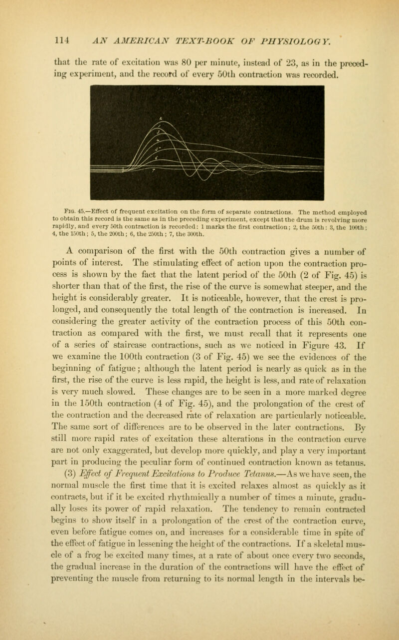 that the rate of excitation was 80 per minute, instead of 23, as in the preced- ing experiment, and the record of every 50th contraction was recorded. Fig. 45.—Effect of frequent excitation on the form of separate contractions. The method employed to obtain this record is the same as in the preceding experiment, except that the drum is revolving more rapidly, and every 50th contraction is recorded: 1 marks the first contraction; 2, the 50th : 3, the 100th; 4, the 150th; 5, the 200th ; 6, the 250th ; 7, the 300th. A comparison of the first with tlie 50th contraction gives a number of points of interest. The stimulating effect of action upon the contraction pro- cess is shown by the fact that the latent period of the 50th (2 of Fig. 45) is shorter than that of the first, the rise of the curve is somewhat steeper, and the height is considerably greater. It is noticeable, however, that the crest is pro- longed, and consequently the total length of the contraction is increased. In considering the greater activity of the contraction process of this 50th con- traction as compared with the first, we must recall that it represents one of a series of staircase contractions, such as we noticed in Figure 43. If we examine the 100th contraction (3 of Fig. 45) we see the evidences of the beginning of fatigue; although the latent period is nearly as quick as in the first, the rise of the curve is less rapid, the height is less, and rate of relaxation is very much slowed. Tiie.se changes are to be seen in a more mark(>d degree in the 150th contraction (4 of Fig. 45), and the prolongation of the crest of the contraction and the decreased rate of relaxation are particularly noticeable. The same sort of differences are to be observed in the later contractions. By still more rapid rates of excitation these alterations in the contraction curve are not only exaggerated, but develop more quickly, and play a very important part in producing the peculiar form of continued contraction known as tetanus. (3) Effect of Frequent Excitations to Produce Tetanus.—As we have seen, the normal muscle the first time that it is excited relaxes almost as quickly as it contracts, but if it be excited rhythmically a number of times a minute, gradu- ally loses its power of rapid relaxation. The tendency to remain contractefl begins to show itself in a prolongation of the crest of the contraction curve, even before fatigue comes on, and increases for a considerable time in spite of the effect of fatigue in lessening the height of the contractions. If a skeletal mus- cle of a frog be excited many times, at a rate of about once every two seconds, the gradual increase in the duration of the contractions will have the effect of preventing the muscle from returning to its normal length in the intervals be-