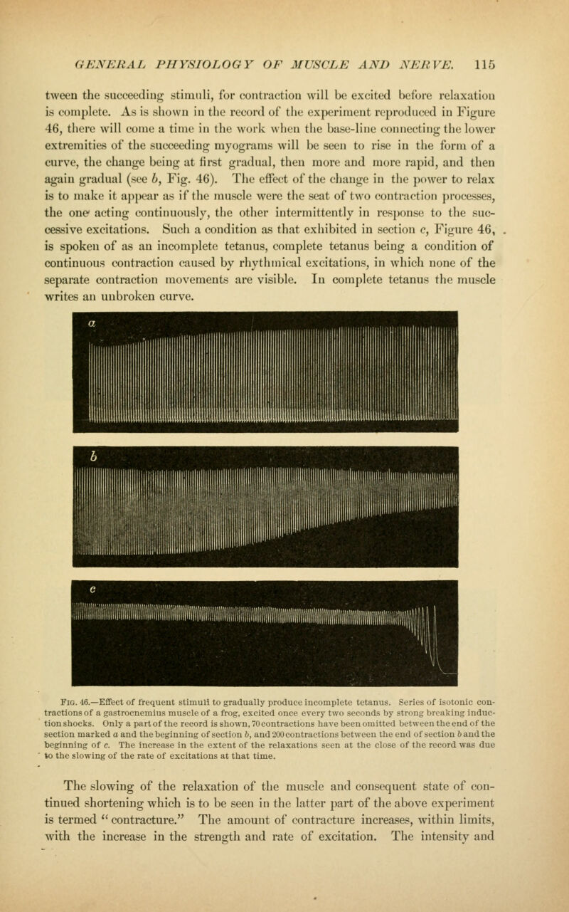 tween the suocecdiug stimuli, for contraction will be excited before relaxation is complete. As is shown in the record of the experiment reproduced in Figure 46, there will come a time in the work when the base-line connecting the lower extremities of the succeeding myograms will be seen to rise in the form of a curve, the change being at first gradual, then more and more rapid, and then again gradual (see 6, Fig. 46). The eifect of the change in the power to relax is to make it appear as if the muscle were the seat of two contraction j)rocesses, the one acting continuously, the other intermittently in response to the suc- cessive excitations. Such a condition as that exhibited in section c, Figure 46, is spoken of as an incomplete tetanus, complete tetanus being a condition of continuous contraction caused by rhythmical excitations, in which none of the separate contraction movements are visible. In complete tetanus the muscle writes an unbroken curve. Fig. -16.—Effect of frequent stimuli to gradually produce incomplete tetanus. Series of isotonic con- tractions of a gastrocnemius muscle of a frog, excited once every two seconds by strong breaking induc- tion shocks. Only a part of the record is shown, 70 contractions have been omitted between the end of the section marked a and the beginning of section b, and 200 contractions between the end of section 6 and the beginning of e. The increase in the extent of the relaxations seen at the close of the record was due to the slowing of the rate of excitations at that time. The slowing of the relaxation of the muscle and consequent state of con- tinued shortening which is to be seen in the latter part of the above experiment is termed  contracture. The amount of contracture increases, within limits, with the increase in the strength and rate of excitation. The intensity and
