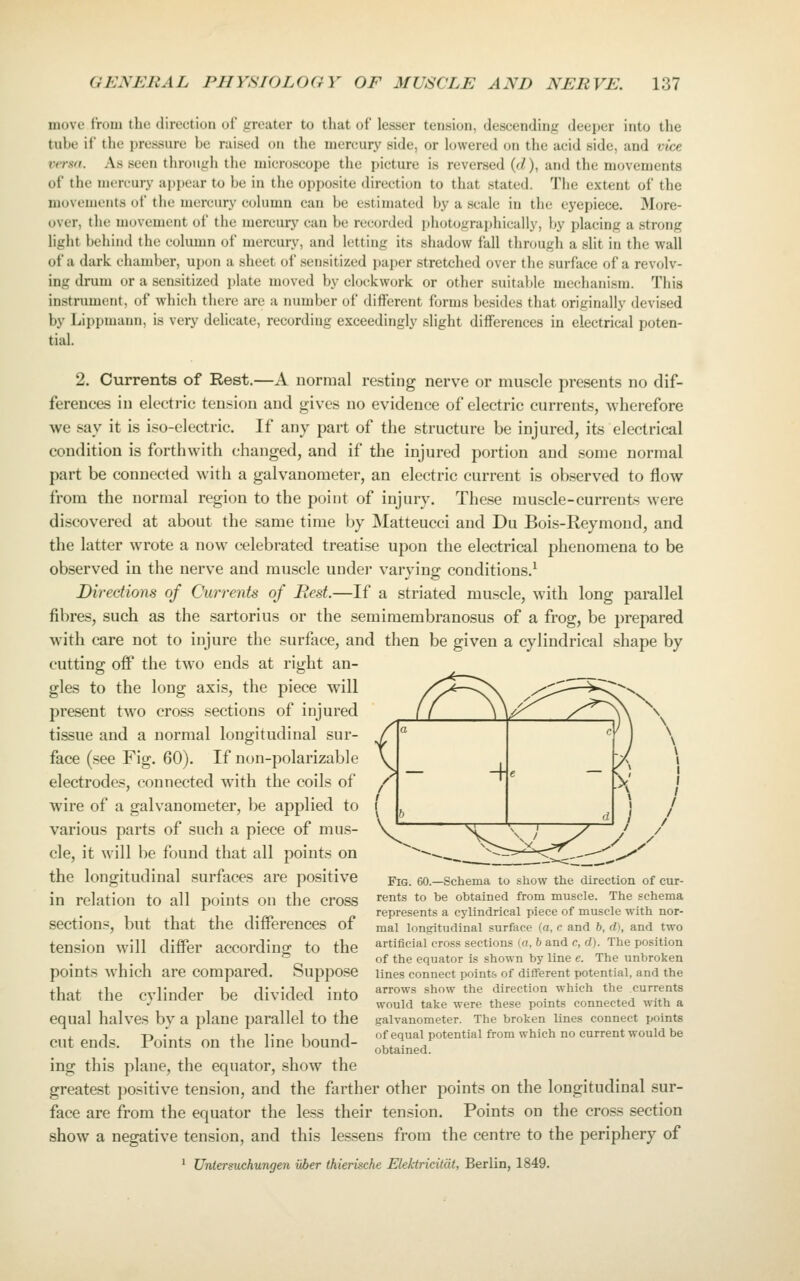 move from tlie direction of greater to that of lesser tension, descending deeper into the tube if the pressure be raised on tlie mercury side, or lowered on the acid side, and vice versa. As seen through the micnjscope the picture is reversed {d), and the movements of the mercury appear to be in the opposite direction to that stated. The extent of the movements of the mercury column can be estimated by a scale in the eyepiece. More- over, the movement of the mercury can be recorded ijhotographicully, \>y placing a strong light behind the column of mercury, and letting its shadow fall thnjugh a slit in the wall of a dark chamber, upon a sheet of sensitized i)aper stretched over the surface of a revolv- ing drum or a sensitized plate moved by clockwork or other suitable mechanism. This instrument, of which there are a number of different forms besides that originally devised by Lippmann, is very delicate, recording exceedingly slight differences in electrical poten- tial. 2. Currents of Rest.—A normal resting nerve or muscle presents no dif- ferences in electric tension and gives no evidence of electric currents, wherefore we say it is iso-electric. If any part of the structure be injured, its electrical condition is forthwith changed, and if the injured portion and some normal part be connected with a galvanometer, an electric current is observed to flow from the normal region to the point of injury. These muscle-currents were discovered at about the same time by Matteucci and Du Bois-Reymond, and the latter wrote a now celebrated treatise upon the electrical phenomena to be observed in the nerve and muscle undei' varying conditions.^ Directions of Currents of Rest.—If a striated muscle, with long parallel fibres, such as the sartorius or the semimembranosus of a frog, be prepared with care not to injure the surface, and then be given a cylindrical shape by cutting off the two ends at right an- gles to the long axis, the piece will present two cross sections of injured tissue and a normal longitudinal sur- face (see Fig. 60). If non-polarizable electrodes, connected with the coils of wire of a galvanometer, be applied to various parts of such a piece of mus- cle, it will be found that all points on the longitudinal surfaces are positive in relation to all points on the cross sections, but that the differences of tension will differ according to the points which are compared. Suppose that the cylinder be divided into equal halves by a plane parallel to the cut ends. Points on the line bound- ing this plane, the equator, show the greatest positive tension, and the forther other points on the longitudinal sur- face are from the equator the less their tension. Points on the cross section show a negative tension, and this lessens from the centre to the periphery of ' Untersuchungen vber thierische Ekktricitdt, Berlin, 1849. Fig. 60.—Schema to show the direction of cur- rents to be obtained from muscle. The schema represents a cylindrical piece of muscle with nor- mal longitudinal surface (a, c and 6, d), and two artificial cross sections (a, b and c, d). The position of the equator is shown by line e. The unbroken lines connect points of different potential, and the arrows show the direction which the currents would take were these points connected with a galvanometer. The broken lines connect points of equal potential from which no current would be obtained.