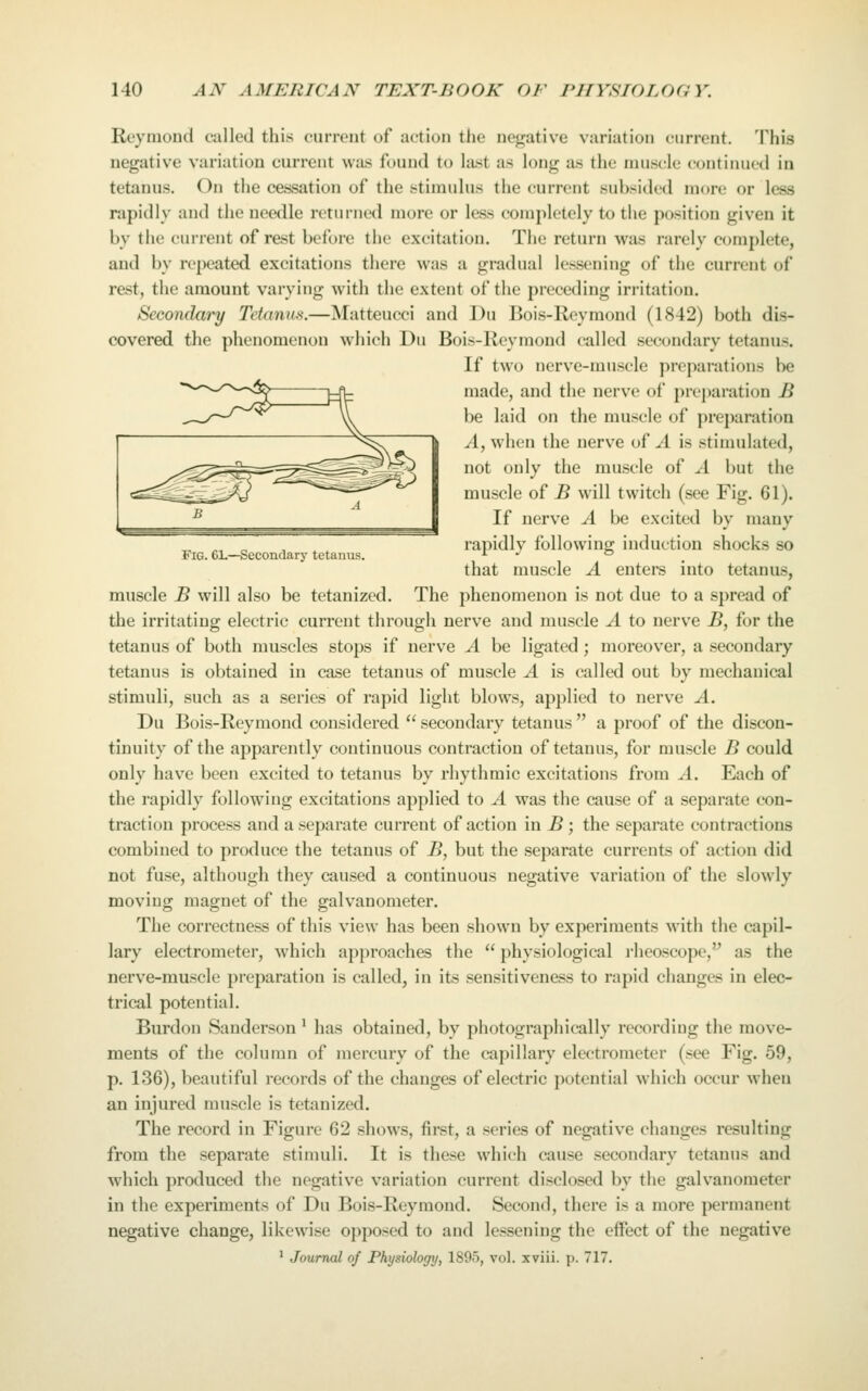 Fig. 6L—Secondary tetanus. Reymond called this current of action the negative variation current. This negative variation current was found to last as long as the muscle coiitinucd in rapidly and the needle returned more or less completely to the position given it by the current of rest before the excitation. Tiie return was rarely complete, and by repeated excitations there was a gradual lessening of the current of rest, the amount varying with the extent of the preceding irritation. Secondary Tetanus.—Matteucci and Du Bois-Reyraond (1842) both dis- covered the phenomenon which Du Bois-Rcymond called secondary tetanus. If two nerve-muscle preparations be ''''•^^•~-^''—^ 1:^ made, and the nerve of prejiaration B „._/—r^v^^ \\^ be laid on the muscle of preparation A, when the nerve of A is stimulated, not only the muscle of A but the muscle of B will twitch (see Fig. 61). If nerve A be excited by many rapidly following induction shocks so that muscle A enters into tetanus, muscle B will also be tetanized. The phenomenon is not due to a spread of the irritating electric current through nerve and muscle A to nerve B, for the tetanus of both muscles stops if nerve A be ligated; moreover, a secondary tetanus is obtained in case tetanus of muscle A is called out by mechanical stimuli, such as a series of rapid light blows, applied to nerve A. Du Bois-Reymond considered  secondary tetanus  a proof of the discon- tinuity of the apparently continuous contraction of tetanus, for muscle B could only have been excited to tetanus by rhythmic excitations from A. Each of the rapidly following excitations applied to A was the cause of a separate con- traction process and a separate current of action in B ; the separate contractions combined to produce the tetanus of 7>, but the separate currents of action did not fuse, although they caused a continuous negative variation of the slowly moving magnet of the galvanometer. The correctness of this view has been shown by experiments with the capil- lary electrometer, which approaches the  physiological rhcoscopc, as the nerve-muscle preparation is called, in its sensitiveness to rapid changes in elec- trical potential. Burdon Sanderson ^ has obtained, by photographically recording the move- ments of the column of mercury of the capillary electrometer (see Fig. 59, p. 136), beautiful records of the changes of electric potential which occur when an injured muscle is tetanized. The record in Figure 62 shows, first, a series of negative changes resulting from the separate stinmli. It is these which cause secondary tetanus and which produced the negative variation current disclosed by the galvanometer in the experiments of Du Bois-Reymond. Second, there is a more permanent negative change, likewise opposed to and lessening the effect of the negative ^ Journal of Physiology, 1895, vol. xviii. p. 717.