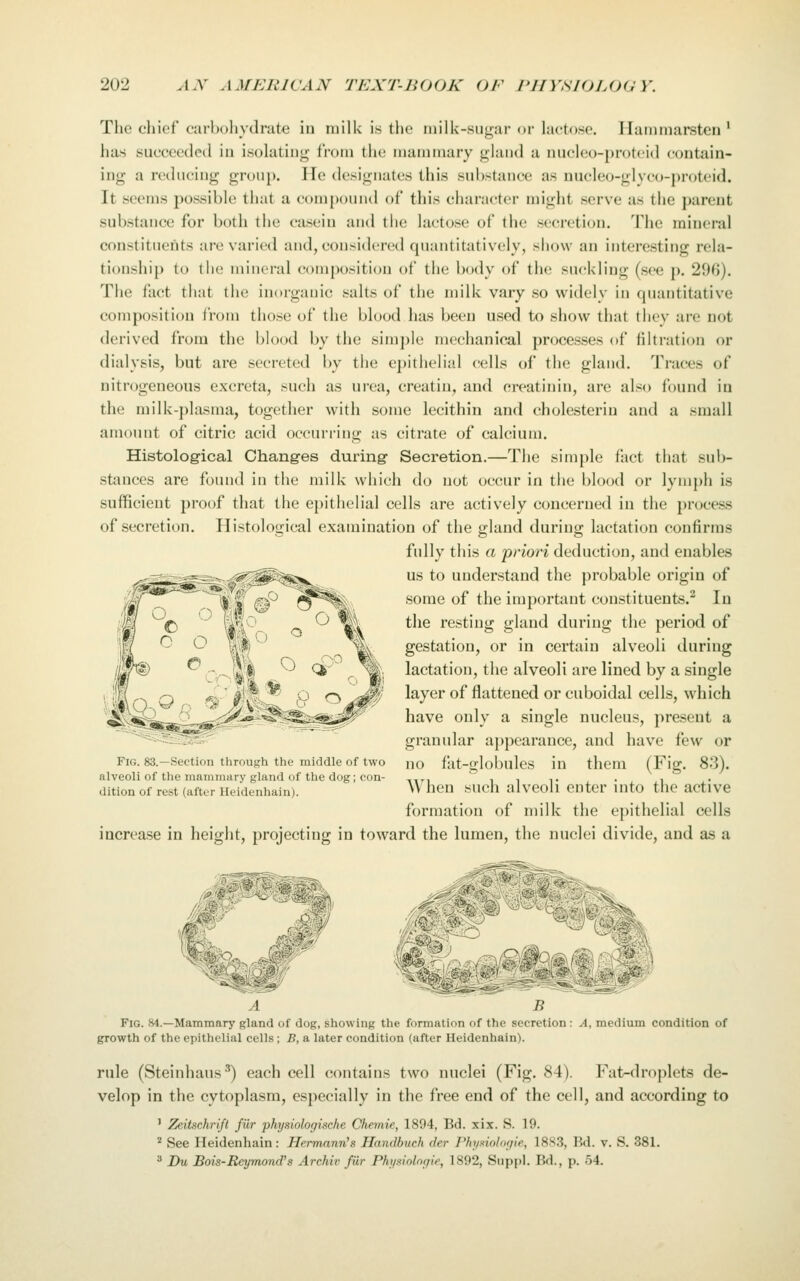 The chief carbohydrate in niilU is the iiiilk-siigar or hictosc. Ilaminarsteii' has succeeded iu isolating from the mammary gland a nucleo-protcid (-ontain- ing a reducing group. He designates this suhstance as nncleo-glyco-proteid. It seems possible that a compound of this character might serve as the parent substance for both tlie casein and the lactose of the secretion. The mineral constituents are varied and, considered quantitatively, show an interesting rela- tionship to the mineral composition of the body of the suckling (see p. 296). The fact that the inorganic salts of the milk vary so widely in quantitative composition from those of the blood has been used to show that they are not derived from the blood by the simple mechanical processes of filtration or dialysis, but are secreted by the epitlielial (^ells of the gland. Traces of nitrogeneous excreta, such as urea, creatiu, and oreatinin, are also found in the milk-plasma, together with some lecithin and cholesterin and a small amount of citric acid occurring as citrate of calcium. Histolog-ical Changes during Secretion.—The simple fact that sub- stiinces are foinid in the milk which do not occur in the blood or lymph is sufficient proof that the epithelial cells are actively concerned in the process of secretion. Histological examination of the gland during lactation confirms fully tliis a 'priori deduction, and enables us to understand the probable origin of some of the important constituents.^ In the resting gland during the period of gestation, or in certain alveoli during lactation, the alveoli are lined by a single layer of flattened or cuboidal cells, which have only a single nucleus, present a granular appearance, and have few or no fat-globules in them (Fig. 83). When such alveoli enter into the active formation of milk the epithelial cells increase in height, projecting in toward the lumen, the nuclei divide, and as a Fig. 83.—Section through the middle of two alveoli of the mammary gland of the dog; con- dition of rest (after Heidenhain). A Fig. 84.—Mammary gland of dog, showing the formation of the secretion : A, medium condition of growth of the epithelial cells; B, a later condition (after Heidenhain). rule (Steinhaus^) each cell contains two nuclei (Fig. 84). Fat-droplets de- velop in the cytoplasm, especially in the free end of the cell, and according to ' Zeitschrift fiir physiologische Chemie, 1894, Bd. xix. S. 19. ^ See Heidenhain: Hermann's Handbuch (hr I'hj/xiologie, 18S3, Bd. v. S. 381. ^ Du Bok-ReymoncVs Archiv fiir Phi/siolnrjle, 1892, Siippl. Bd., p. 54.