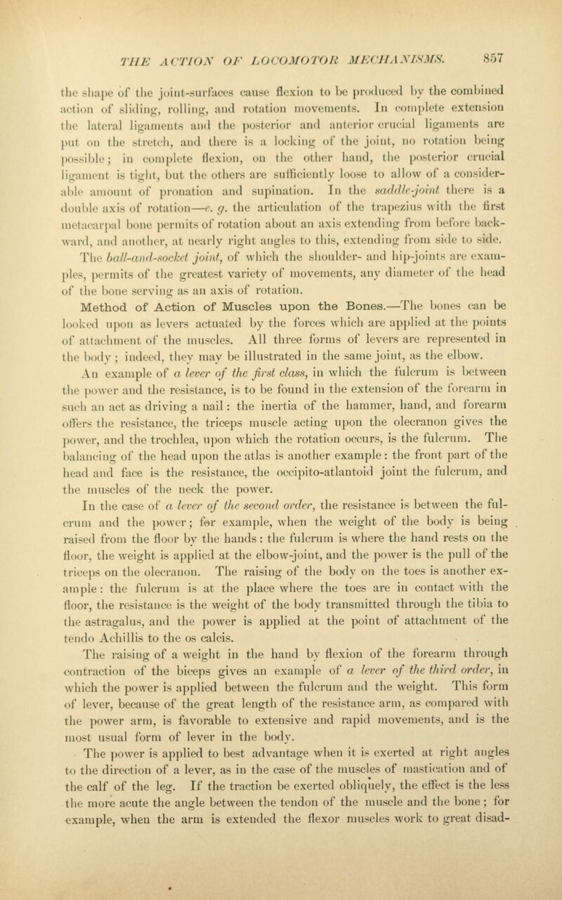 the shape of the joiut-surluces euu.se flexion to be produced by the conibiued action of sliding, rolling, and rotation movements. In complete extension the lateral ligaments and the posterior and anterior crucial ligaments are put on the stretch, and there is a locking of the joint, no rotation being possible; in complete flexion, on the other hand, the posterior crucial ligament is tight, but the others are sufficiently loose to allow of a consider- able amount of pronation and supination. In the mddk-joint there is a double axis of rotation—<\ fj. the articulation of the trapezius with the first metacarpal bone permits of rotation about an axis extending from before back- ward, and another, at nearly right angles to this, extending from side to side. The ball-and-socket joint, of which the shoulder- and hip-joints are exam- ples, permits of the greatest variety of movements, any diameter of the head of the bone serving as an axis of rotation. Method, of Action of Muscles upon the Bones.—The bones can be looked upon as levers actuated by the forces which are applied at the points of attachment of the muscles. All three forms of levers are represented in the body; indeed, they may be illustrated in the same joint, as the elbow. An example of a lever of the first class, in which the fulcrum is between the power and the resistance, is to be found in the extension of the forearm in such an act as driving a nail: the inertia of the hammer, hand, and forearm offers the resistance, the triceps muscle acting upon the olecranon gives the power, and the trochlea, upon which the rotation occurs, is the fulcrum. The l)alancing of the head upon the atlas is another example: the front part of the head and face is the resistance, the occipito-atlantoid joint the fulcrum, and the muscles of the neck the power. In the case of a lever of the second order, the resistance is between the ful- crum and the power; for example, when the weight of the body is being raised from the floor by the hands: the fulcrum is where the hand rests on the floor, the weight is applied at the elbow-joint, and the power is the pull of the triceps on the olecranon. The raising of the body on the toes is another ex- ample : the fulcrum is at the place where the toes are in contact with the floor, the resistance is the weight of the body transmitted through the tibia to the astragalus, and the power is applied at the point of attachment of the tendo Achillis to the os calcis. The raising of a weight in the hand by flexion of the forearm through contraction of the biceps gives an example of a lever of the third order, in which the power is applied between the fulcrum and the weight. This form of lever, because of the great length of the resistance arm, as compared with the power arm, is favorable to extensive and rapid movements, and is the most usual form of lever in the body. The power is applied to best advantage when it is exerted at right angles to the direction of a lever, as in the case of the muscles of mastication and of the calf of the leg. If the traction be exerted obliquely, the effect is the less the more acute the angle between the tendon of the muscle and the bone ; for example, when the arm is extended the flexor muscles work to great disad-