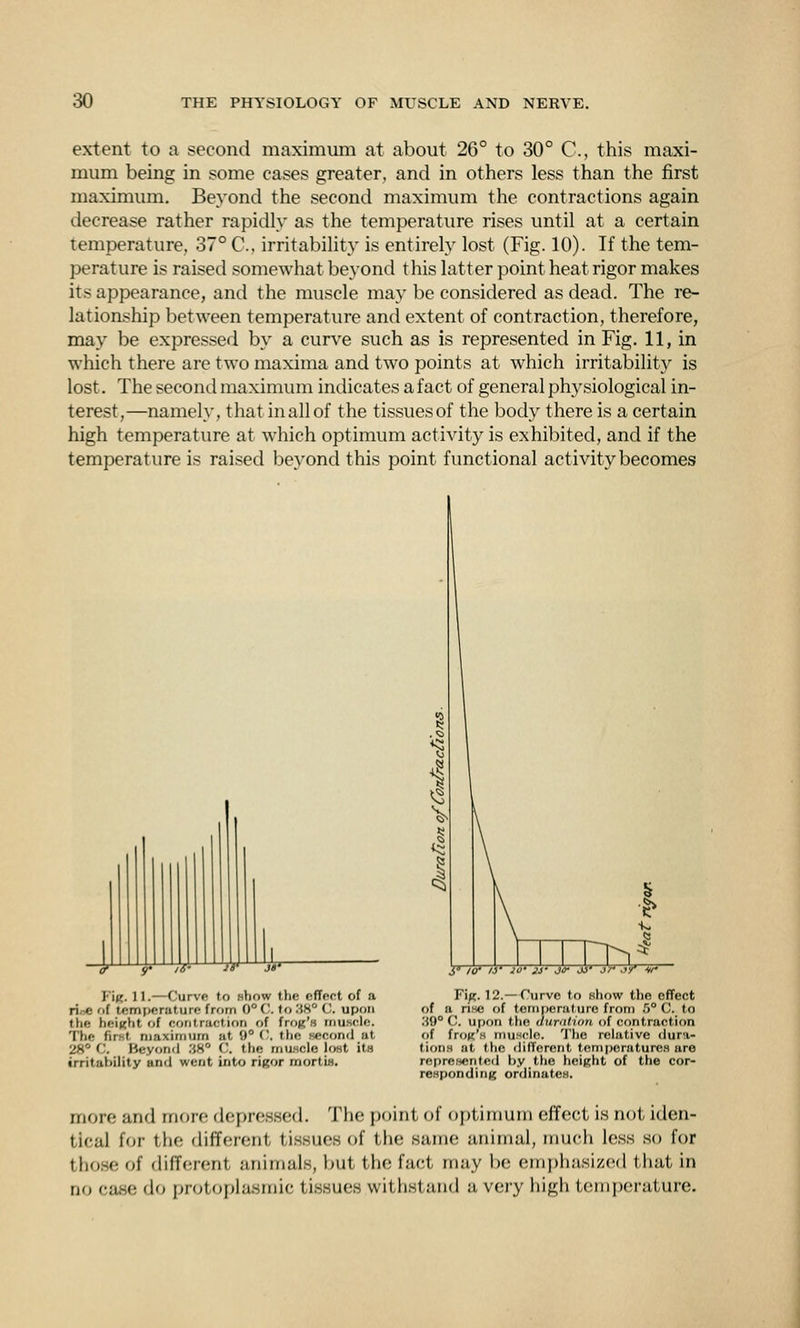 extent to a second maximum at about 26° to 30° C, this maxi- mum being in some cases greater, and in others less than the first maximum. Beyond the second maximum the contractions again decrease rather rapidly as the temperature rises until at a certain temperature. 37° C, irritability is entirely lost (Fig. 10). If the tem- perature is raised somewhat beyond this latter point heat rigor makes its appearance, and the muscle may be considered as dead. The re- lationship between temperature and extent of contraction, therefore, may be expressed by a curve such as is represented in Fig. 11, in which there are two maxima and two points at which irritability is lost. The second maximum indicates a fact of general physiological in- terest,—namely, that in all of the tissues of the body there is a certain high temperature at which optimum activity is exhibited, and if the temperature is raised beyond this point functional activity becomes ViK. 11.—Curve to show the cffeot of a rioC fif tempMirature frfim 0° (. to .'<H° C. upon the heiKht of contraction of frog's muscle. The firHt maximum at 9° ('. tlie second at 28° C. Beyonil '.iH° C. the muncle Irat itH irritability and went into rigor mortis. ^ 1-1 J' iV IS' 20' 2y jo- M' jr Sr v Fi^. 12.—Curve to nhow the efTect of a nHe of temperature from .1° C. to ,'19° C. upon the durntion of contraction f>f froK'.s muHclo. The relative dura- tions at the fiifferent temporaturcH are represented by the height of the cor- responding ordinateH. more and more depressed. The point of optiniuni effect is not iden- tical for the different tissues of the same animal, much less so for those of different animals, but the fact may be emphasized that in no case do protoplasmic tissues withstand a very high temperature.