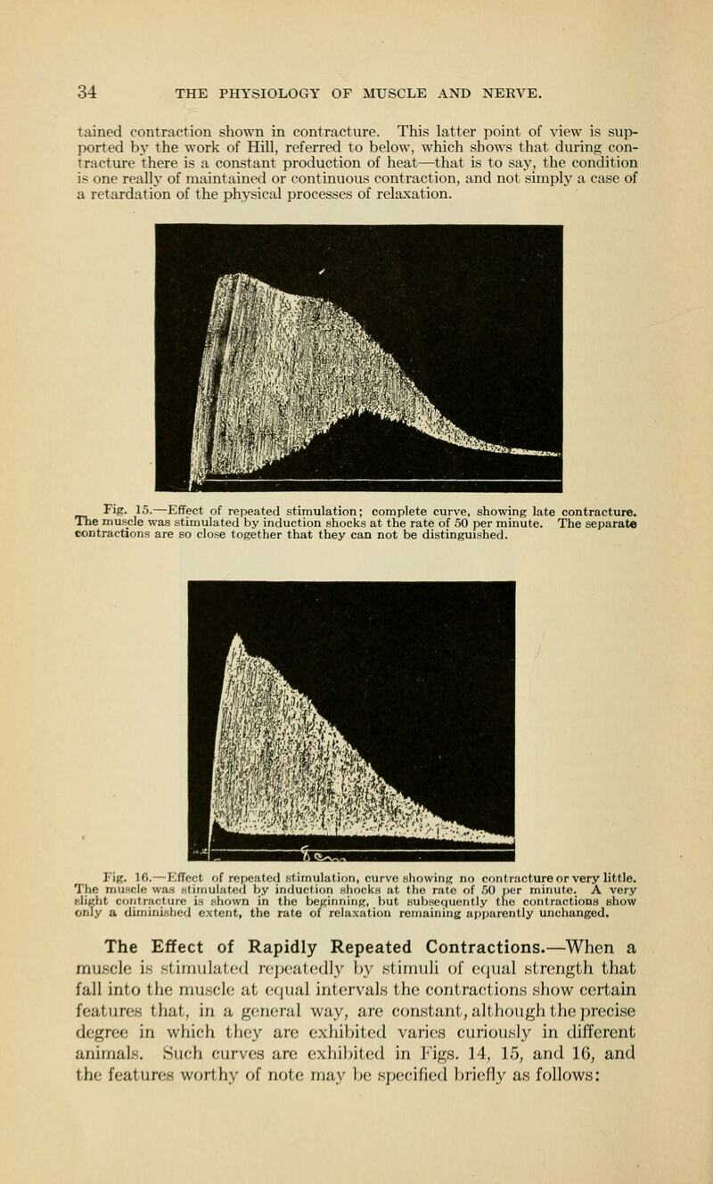 tained contraction shown in contracture. This latter point of view is sup- ported by the work of Hill, referred to below, which shows that during: con- tracture there is a constant production of heat—that is to say, the condition is one really of maintainetl or continuous contraction, and not simply a case of a retardation of the physical processes of relaxation. BM ■ M|M m ^^^KMi^KWi ^^i^^^^^^^^^^i 'M iH^^I i Fig. 15.—Effect of repeated stimulation; complete curve, showing late contracture. The muscle was stimulated by induction shocks at the rate of 50 per minute. The separate contractions are so close together that they can not be distinguished. Fig. 10.—Inflect of repeated stimulation, curve .showing no coiitractureor very little. The muscle was stimulated by induction shocks at the rate of r>l) iier minute. A very Blight contracture is shown in the beginning, but subsequently tlic contractions show only a dimini.shed extent, the rate of relaxation remaining apparently unchanged. The Effect of Rapidly Repeated Contractions.—When a muscle is stimiilat(!d n'jx'utcdly hy stimuli of c(|iial strciiigth that fall into the muscle at equal intervals the contractions show certain features that, in a general way, are constant, although the precise degree in which they are exhibited varies curiously in different animals. Such curves arc exhibited in Figs. 14, 15, and 16, and the features worthy of note may be specified l)riefly as follows: