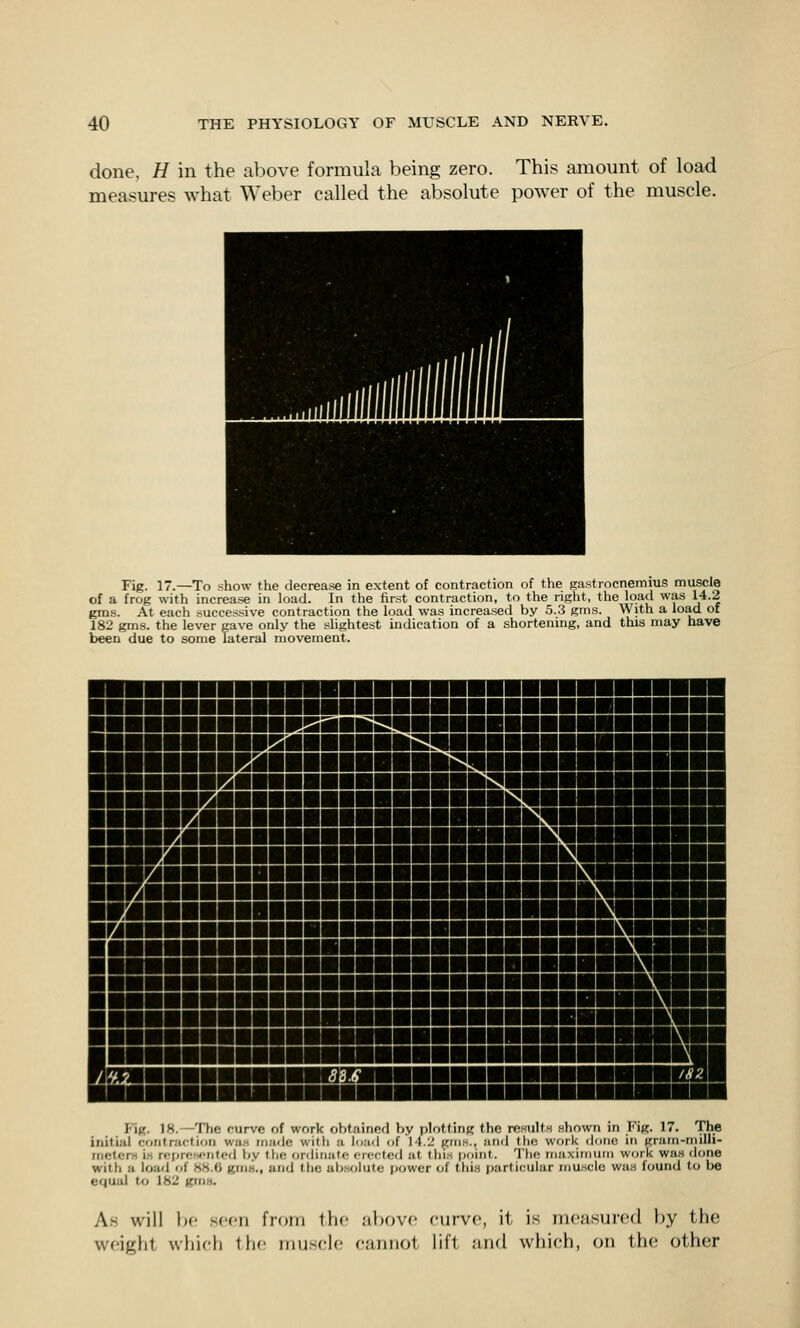 done, H in the al)ove formula being zero. This tmiount of load measures what Weber called the absolute power of the muscle. Fig. 17.—To show the decrea.se in extent of contraction of the gastrocnemius muscle of a frog with increase in load. In the first contraction, to the right, the load was 14.2 gms. At each successive contraction the load was increased by .5.3 grns. With a load of 182 gms. the lever gave only the slightest indication of a shortening, and this may have been due to some lateral movement. Fi(?. 18.—The curve of work obtained by plotting the results shown m Fig. 17. The initial contraction was made with a load of 14.2 pms., anrl the work done in gram-milli- mcterH i.s niprrfscntod by tlie ordinate or(!Cteil ut thi.s point. The maximiini work was done with a load of 88.(i giiiH., and the ubwiute i)ower of this particular muscle was found to be equal to 182 gms. As will be seen from the above curve, it is nicasurcd by the weight which the muscle cannot lift and which, on the other