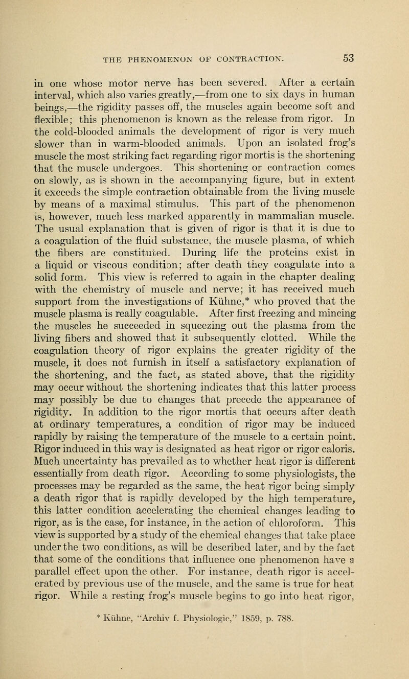 in one whose motor nerve has been severed. After a certain interval, which also varies greatly,—from one to six days in human beings,—the rigidity passes off, the muscles again become soft and flexible; this phenomenon is known as the release from rigor. In the cold-blooded animals the development of rigor is very much slower than in warm-blooded animals. Upon an isolated frog's muscle the most striking fact regarding rigor mortis is the shortening that the muscle undergoes. This shortening or contraction comes on slowly, as is shown in the accompanying figure, but in extent it exceeds the simple contraction obtainable from the living muscle by means of a maximal stimulus. This part of the phenomenon is, however, much less marked apparently in mammalian muscle. The usual explanation that is given of rigor is that it is due to a coagulation of the fluid substance, the muscle plasma, of which the fibers are constituted. During life the proteins exist in a liquid or viscous condition; after death they coagulate into a solid form. This view is referred to again in the chapter dealing with the chemistry of muscle and nerve; it has received much support from the investigations of Kiihne,* who proved that the muscle plasma is really coagulable. After first freezing and mmcing the muscles he succeeded in squeezing out the plasma from the living fibers and showed that it subsequently clotted. While the coagulation theory of rigor explains the greater rigidity of the muscle, it does not furnish in itself a satisfactory explanation of the shortening, and the fact, as stated above, that the rigidity may occur without the shortening indicates that this latter process may possibty be due to changes that precede the appearance of rigidity. In addition to the rigor mortis that occurs after death at ordinary temperatures, a condition of rigor may be induced rapidly by raising the temperature of the muscle to a certain point. Rigor induced in this way is designated as heat rigor or rigor caloris. Much uncertainty has prevailed as to whether heat rigor is different essentially from death rigor. According to some phj^siologists, the processes may be regarded as the same, the heat rigor being simply a death rigor that is rapidly develojoed by the high temperature, this latter condition accelerating the chemical changes leading to rigor, as is the case, for instance, in the action of cliloroform. This view is supported by a study of the chemical changes that take place under the two conditions, as will be described later, and by the fact that some of the conditions that influence one phenomenon have a parallel effect upon the other. For instance, death rigor is accel- erated by previous use of the muscle, and the same is true for heat rigor. While a resting frog's muscle begins to go into heat rigor, * Kiihne, Ai-cliiv f. Physiolosie, 1859, p. 788.