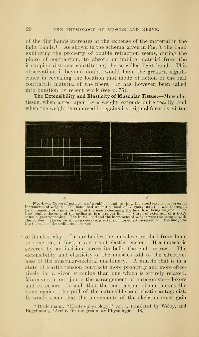 of the dim bands increases at the expense of the material in the light bands.* As shown in the schema given in Fig. 3, the band exhibiting the property of double refraction seems, during the phase of contraction, to absorb or imbibe material from the isotropic substance constituting the so-called light band. This observation, if beyond doubt, would have the greatest signifi- cance in revealing the location and mode of action of the real contractile material of the fibers. It has, however, been called into question by recent work (see p. 75). The Extensibility and Elasticity of Muscular Tissue.—Muscular tissue, when acted upon by a weight, extends quite readily, and when the weight is removed it regains its original form by virtue am ——■ Hi Ffa. 4.—a, Curve of extension of a rubber band, to show the equal extensions for equal increments of weight. The band had an initial load of 17 cms., and this was increased by increments of :} urns, in each of the nine extensions, the final load being 44 gms. The In;, joining the ends of the ordinates is a straight line, b, Curve of extension of a frog's tun cle ' gasf rocnemius). The initial load and the increment of weight were the same as with the rubber. The curve shows a decreasing extension for equal increments. The line join- ing the <*ri< I -^ of the ordinates is curved. of its elasticity. In our bodies the muscles stretched from bone to bone are, in fact, in a state of elastic tension, [f a muscle is severed by an incision across its belly the ends retract. The extensibility and elasticity of the muscles add to the effective- of the muscular-skeletal machinery. A muscle that is in a state of elastic tension contracts more promptly and more effec fcively for h given stimulus than one which is entirely relaxed. Moreover, in our joints the arrangement of antagonists flexors and exten or i- such thai the contraction of one moves the bone against the pull of the extensible and elastic antagonist. It would seem thai the movements of the skeleton must gain * Biedermann, Electro-physiology, vol, i, translated l>y Welby, and Engelmann, Archiv f ur die gesammte Physiologic, 18, L.