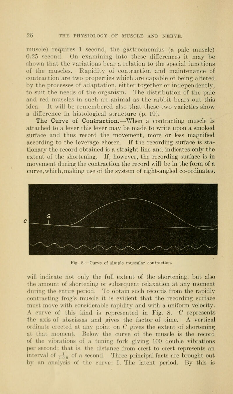 muscle) requires 1 second, the gastrocnemius (a pale muscle) 0.2.> second. On examining into these differences it may lie shown that the variations bear a relation to the special functions of the muscles. Rapidity of contraction and maintenance of contraction are two properties which are capable of being altered by the processes of adaptation, either together or independently, to suit the needs of the organism. The distribution of the pale and red muscles in such an animal as the rabbit bears out this idea. It will be remembered also that these two varieties show a difference in histological structure (p. 19). The Curve of Contraction.—When a contracting muscle is attached to a lever this lever may be made to write upon a smoked surface and thus record the movement, more or less magnified according to the leverage chosen. If the recording surface is sta- tionary the record obtained is a straight line and indicates only the extent of the shortening. If, however, the recording surface is in movement during the contraction the record will be in the form of a curve, which, making use of the system of right-angled co-ordinates. Fig. 8.—Curve of simple muscular contraction. will indicate ao\ only the full extent of the shortening, but also the amount of shortening or subsequent relaxation at any moment during the entire period. To obtain such records from the rapidly contracting frog's muscle ii is evidenl that the recording surface nni-i move with considerable rapidity and with a uniform velocity. A curve of this kind is represented in Fig. s. C represents the axis Of abscissas and gives the factor of time. A vertical Ordinate erected at any point on C .uives the extent of shortening at that moment. I'.clou the curve of the muscle is the record of the vibration- of a tuning fork giving 100 doulile vibrations econd; thai i-. the di tance from cresl t<> crest represents an interval of ,,',,, of a second. Three principal facts are brought out by an analysis of the curve: b The latent period. By this is