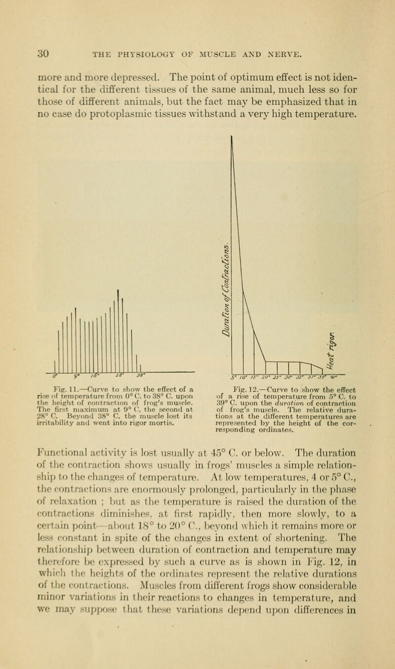 more and more depressed. The point of optimum effect is not iden- tical for the different tissues of the same animal, much less so for those of different animals, but the fart may be emphasized that in no case do protoplasmic tissues withstand a very high temperature. rr g' 16' Fig. 11.—Curve to show the effect of a temperature from 0° C. to 38° C. upon the height of con tract ion of frog's muscle. The fir.-t maximum at 9° C, the second at 28° C. Beyond 38° C. the muscle lost its irritability and went into rigor mortis. §> Ctx S° 10' 15' 10- 2J- JO- Jtf- 3f jr ir Fig. 12.—Curve to show the effect of a rise of temperature from 5° C. to 39° C. upon the duration of contraction of frog's muscle. The relative dura- tions at the different temperatures are represented by the height of the cor- responding ordinate.?. Functional activity is lost usually at -l.r)°(\ or below. The duration of the contraction shows usually in frogs' muscles a simple relation- ship to the changes of temperature. At low temperatures, 4 or5°(■., the contractions are enormously prolonged, particularly in the phase of relaxation ; bu1 as the temperature is raised the duration of the contractions diminishes, a1 first rapidly, then more slowly, to a certain point aboul 18° to 20° ('.. beyond \\ hich LI remains more or constanl in spite of the changes in extent, of shortening. The relationship between duration of contraction and temperature may therefore be expre ed by such a curve as is shown in l\£. 12, in which the heights of the ordinates represent the relative durations ot the contractions. Muscles from different frogs show considerable minor variations in their reactions to changes in temperature, and we may Buppose that these variations depend upon differences in