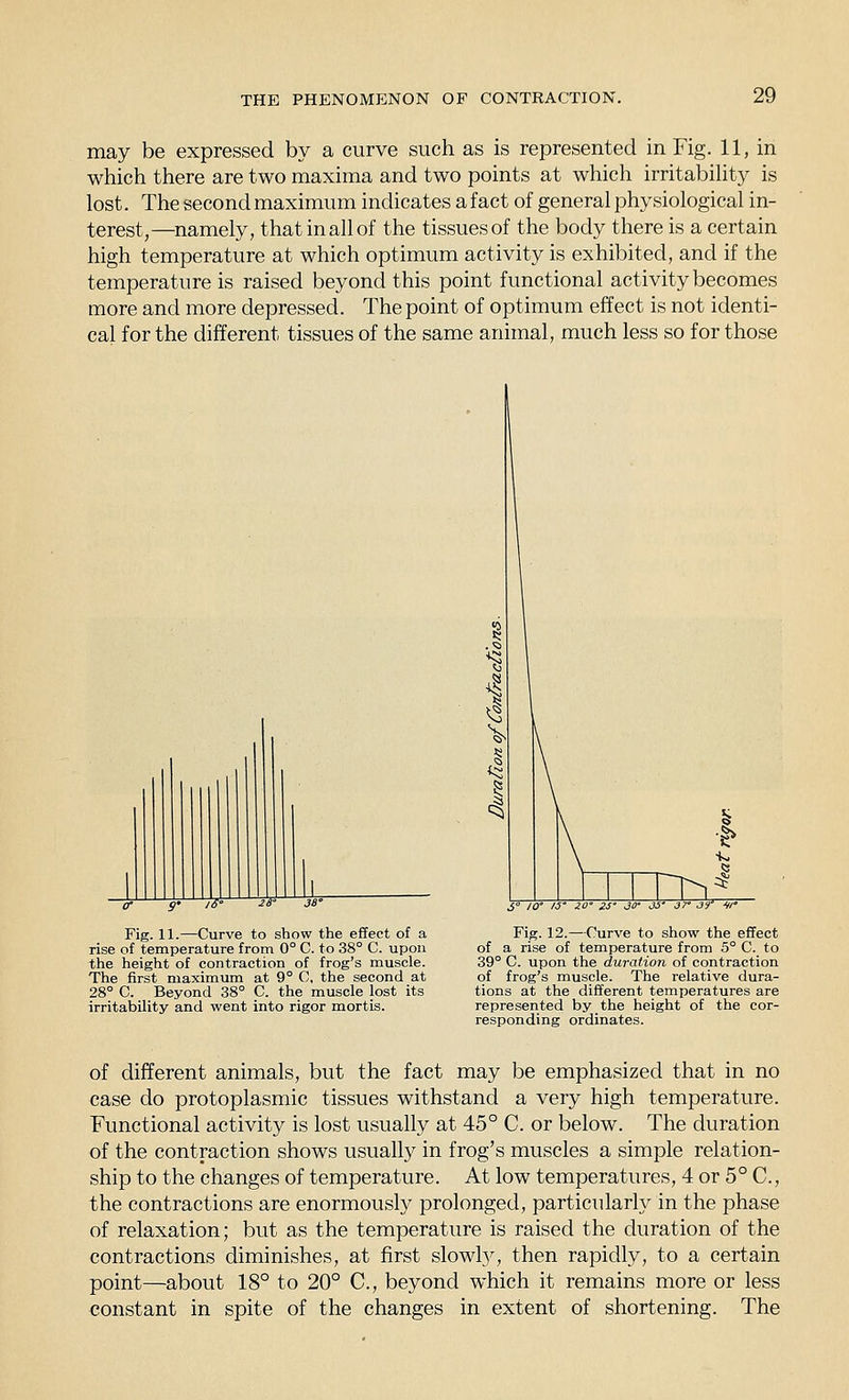 may be expressed by a curve such as is represented in Fig. 11, in which there are two maxima and two points at which irritability is lost. The second maximum indicates a fact of general physiological in- terest,—namely, that in all of the tissues of the body there is a certain high temperature at which optimum activity is exhibited, and if the temperature is raised beyond this point functional activity becomes more and more depressed. The point of optimum effect is not identi- cal for the different tissues of the same animal, much less so for those g' 16' 2S' Fig. 11.—Curve to show the effect of a rise of temperature from 0° C. to 38° C. upon the height of contraction of frog's muscle. The first maximum at 9° C, the second at 28° C. Beyond 38° C. the muscle lost its irritability and went into rigor mortis. J^ ^5' 6° 10' IS' io' 2i' JO' js- jr jr •»/ Fig. 12.—Curve to show the effect of a rise of temperature from 5° C. to 39° C. upon the duration of contraction of frog's muscle. The relative dura- tions at the different temperatures are represented by the height of the cor- responding ordinates. of different animals, but the fact may be emphasized that in no case do protoplasmic tissues withstand a very high temperature. Functional activity is lost usually at 45° C. or below. The duration of the contraction shows usually in frog's muscles a simple relation- ship to the changes of temperature. At low temperatures, 4 or 5° C, the contractions are enormously prolonged, particularly in the phase of relaxation; but as the temperature is raised the duration of the contractions diminishes, at first slowl}^, then rapidly, to a certain point—about 18° to 20° C, beyond which it remains more or less constant in spite of the changes in extent of shortening. The