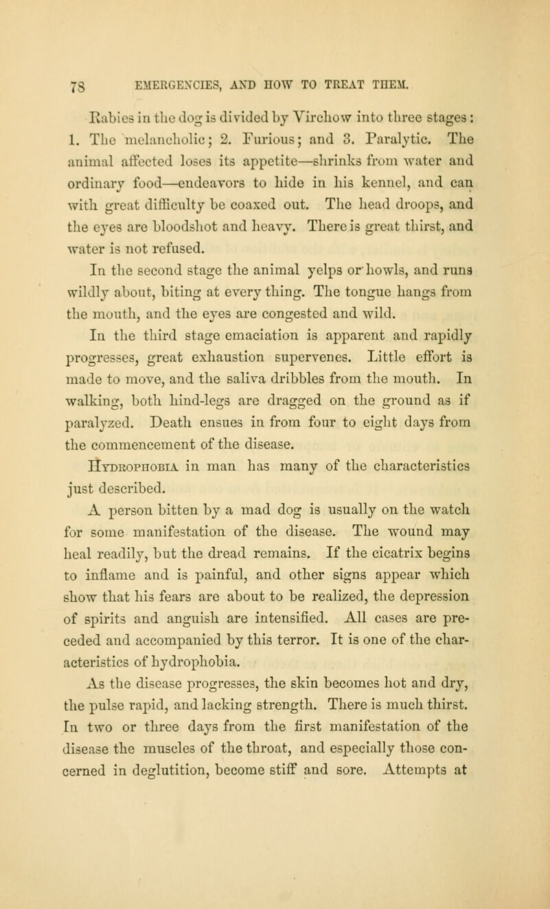 Rabies in the Jog is divided by Virchow into three stages: 1. The melancholic; 2. Furious; and 3. Paralytic. The animal affected loses its appetite—shrinks from water and ordinary food—endeavors to hide in his kennel, and can with great difficulty be coaxed out. The head droops, and the eyes are bloodshot and heavy. There is great thirst, and water is not refused. In the second stage the animal yelps or howls, and runs wildly about, biting at every thing. The tongue hangs from the mouth, and the eyes are congested and wild. In the third stage emaciation is apparent and rapidly progresses, great exhaustion supervenes. Little effort is made to move, and the saliva dribbles from the mouth. In walking, both hind-legs are dragged on the ground as if paralyzed. Death ensues in from four to eight days from the commencement of the disease. Hydrophobia in man has many of the characteristics just described. A person bitten by a mad dog is usually on the watch for some manifestation of the disease. The wound may heal readily, but the dread remains. If the cicatrix begins to inflame and is painful, and other signs appear which show that his fears are about to be realized, the depression of spirits and anguish are intensified. All cases are pre- ceded and accompanied by this terror. It is one of the char- acteristics of hydrophobia. As the disease progresses, the skin becomes hot and dry, the pulse rapid, and lacking strength. There is much thirst. In two or three days from the first manifestation of the disease the muscles of the throat, and especially those con- cerned in deglutition, become stiff and sore. Attempts at