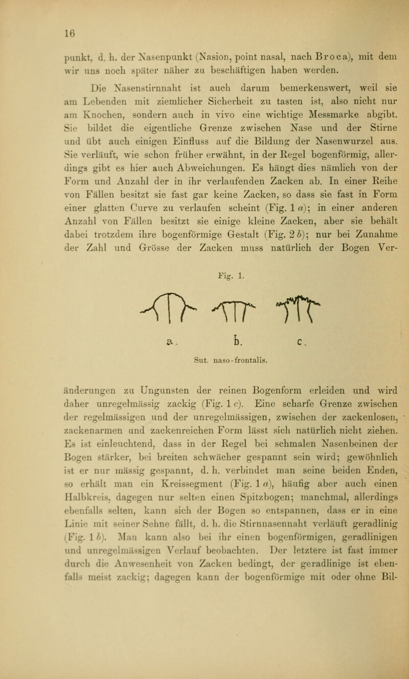 piinkt, d. h. der Xasenpunkt (Nasion, point nasal, nach Broca), mit dem wir uns noch später näher zu beschäftigen haben werden. Die Nasenstirnnaht ist auch darum bemerkenswert, weil sie am Lebenden mit ziemlicher Sicherheit zu tasten ist, also nicht nur am Knochen, sondern auch in vivo eine wichtige Messmarke abgibt. Sie bildet die eigentliche Grenze zwischen Nase und der Stirne und übt auch einigen Einfluss auf die Bildung der Nasenwurzel aus. Sie verläuft, wie schon früher erwähnt, in der Regel bogenförmig, aller- dings gibt es hier auch Abweichungen. Es hängt dies nämlich von der Form und Anzahl der in ihr verlaufenden Zacken ab. In einer Reihe von Fällen besitzt sie fast gar keine Zacken, so dass sie fast in Form einer glatten Curve zu verlaufen scheint (Fig. la); in einer anderen Anzahl von Fällen besitzt sie einige kleine Zacken, aber sie behält dabei trotzdem ihre bogenförmige Gestalt (Fig. 2ö); nur bei Zunahme der Zahl und Grösse der Zacken muss natürlich der Bogen Ver- Fig. 1. a b. c. Sut. naso-frontalis. änderungen zu Ungunsten der reinen Bogenform erleiden und Avird daher unregelmässig zackig (Fig. 1 c). Eine scharfe Grenze zwischen der regelmässigen und der unregelmässigen, zwischen der zackenlosen, zackenarmen und zackenreichen Form lässt sich natürlich nicht ziehen. Es ist einleuchtend, dass in der Regel bei schmalen Nasenbeinen der Bogen stärker, bei breiten schwächer gespannt sein wird; gewöhnlich ist er nur massig gespannt, d. h. verbindet man seine beiden Enden, so erhält man ein Kreissegment (Fig. 1 a), häufig aber auch einen Halbkreis, dagegen nur selten einen Spitzbogen; manchmal, allerdings ebenfalls selten, kann sich der Bogen so entspannen, dass er in eine Linie mit seiner Sehne fällt, d. h. die Stirnnasennaht verläuft geradlinig (Fig. 1 b). ;Man kann also bei ihr einen bogenförmigen, geradlinigen und unregclmässigen Verlauf beobachten. Der letztere ist fast immer durch die Anwesenheit von Zacken bedingt, der geradlinige ist eben- falls meist zackig; dagegen kann der bogenförmige mit oder ohne Bil-