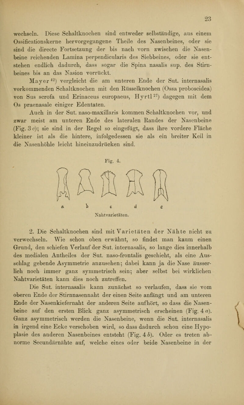 wechseln. Diese Schaltknochen sind entweder selbständige, aus einem Ossificationskerne hervorgegangene Theile des Nasenbeines, oder sie sind die directe Fortsetzung der bis nach vorn zwischen die Nasen- beine reichenden Lamina perpendicularis des Siebbeines, oder sie ent- stehen endlich dadurch, dass sogar die Spina nasalis sup. des Stirn- beines bis an das Nasion vorrückt. Mayer*-) vergleicht die am unteren Ende der Sut. internasalis vorkommenden Schaltknochen mit den Rüsselknochen (Ossa proboscidea) von Sus scrofa und Erinaceus europaeus, Hyrtl-') dagegen mit dem Os praenasale einiger Edentaten. Auch in der Sut. naso-maxillaris kommen Schaltknochen vor, und zwar meist am unteren Ende des lateralen Randes der Nasenbeine (Fig. 3 c); sie sind in der Regel so eingefügt, dass ihre vordere Fläche kleiner ist als die hintere, infolgedessen sie als ein breiter Keil in die Nasenhöhle leicht hineinzudrücken sind. Fic b c d Xahtvarietäten. 2. Die Schaltknochen sind mit Varietäten der Nähte nicht zu verwechseln. Wie schon oben erwähnt, so findet man kaum einen Grund, den schiefen Verlauf der Sut. internasalis, so lange dies innerhalb des medialen Antheiles der Sut. naso-frontalis geschieht, als eine Aus- schlag gebende Asymmetrie anzusehen; dabei kann ja die Nase äusser- lich noch immer ganz symmetrisch sein; aber selbst bei wirklichen Nahtvarietäten kann dies noch zutreffen. Die Sut. internasalis kann zunächst so verlaufen, dass sie vom oberen Ende der Stirnnasennaht der einen Seite anfängt und am unteren Ende der Nasenkiefernaht der anderen Seite aufhört, so dass die Nasen- beine auf den ersten Blick ganz asymmetrisch erscheinen (Fig. 4 o). Ganz asymmetrisch werden die Nasenbeine, wenn die Sut. internasalis in irgend eine Ecke verschoben wird, so dass dadurch schon eine Hypo- plasie des anderen Nasenbeines entsteht (Fig. 4Z>). Oder es treten ab- norme Secundärnähte auf, welche eines oder beide Nasenbeine in der