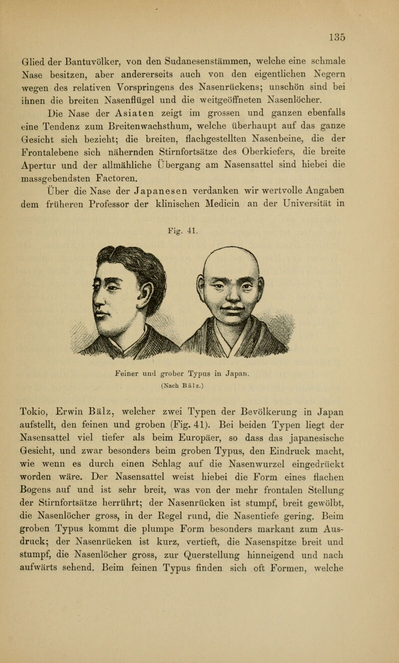 Glied der Bantuvölker, von den Sudanesenstäramen, welche eine schmale Nase besitzen, aber andererseits auch von den eigentlichen Negern wegen des relativen Vorspringens des Nasenrückens; unschön sind bei ihnen die breiten Nasenflügel und die weitgeöffneten Nasenlöcher. Die Nase der Asiaten zeigt im grossen und ganzen ebenfalls eine Tendenz zum Breitenwachsthum, welche überhaupt auf das ganze Gesicht sich bezieht; die breiten, flachgestellten Nasenbeine, die der Frontalebene sich nähernden Stirnfortsätze des Oberkiefers, die breite Apertur und der allmähliche Übergang am Nasensattel sind hiebei die massgebendsten Factoren. Über die Nase der Japanesen verdanken wir wertvolle Angaben dem früheren Professor der klinischen Medicin an der Universität in Fiff. 41. Feiner und grober Typus in Japan. (Nach Balz.) Tokio, Erwin Balz, welcher zwei Typen der Bevölkerung in Japan aufstellt, den feinen und groben (Fig. 41). Bei beiden Typen liegt der Nasensattel viel tiefer als beim Europäer, so dass das japanesische Gesicht, und zwar besonders beim groben Typus, den Eindruck macht, wie wenn es durch einen Schlag auf die Nasenwurzel eingedrückt worden wäre. Der Nasensattel weist hiebei die Form eines flachen Bogens auf und ist sehr breit, was von der mehr frontalen Stellung der Stirnfortsätze herrührt; der Nasenrücken ist stumpf, breit gewölbt, die Nasenlöcher gross, in der Regel rund, die Nasentiefe gering. Beim groben Typus kommt die plumpe Form besonders markant zum Aus- druck; der Nasenrücken ist kurz, vertieft, die Nasenspitze breit und stumpf, die Nasenlöcher gross, zur Querstellung hinneigend und nach aufwärts sehend. Beim feinen Typus finden sich oft Formen, welche