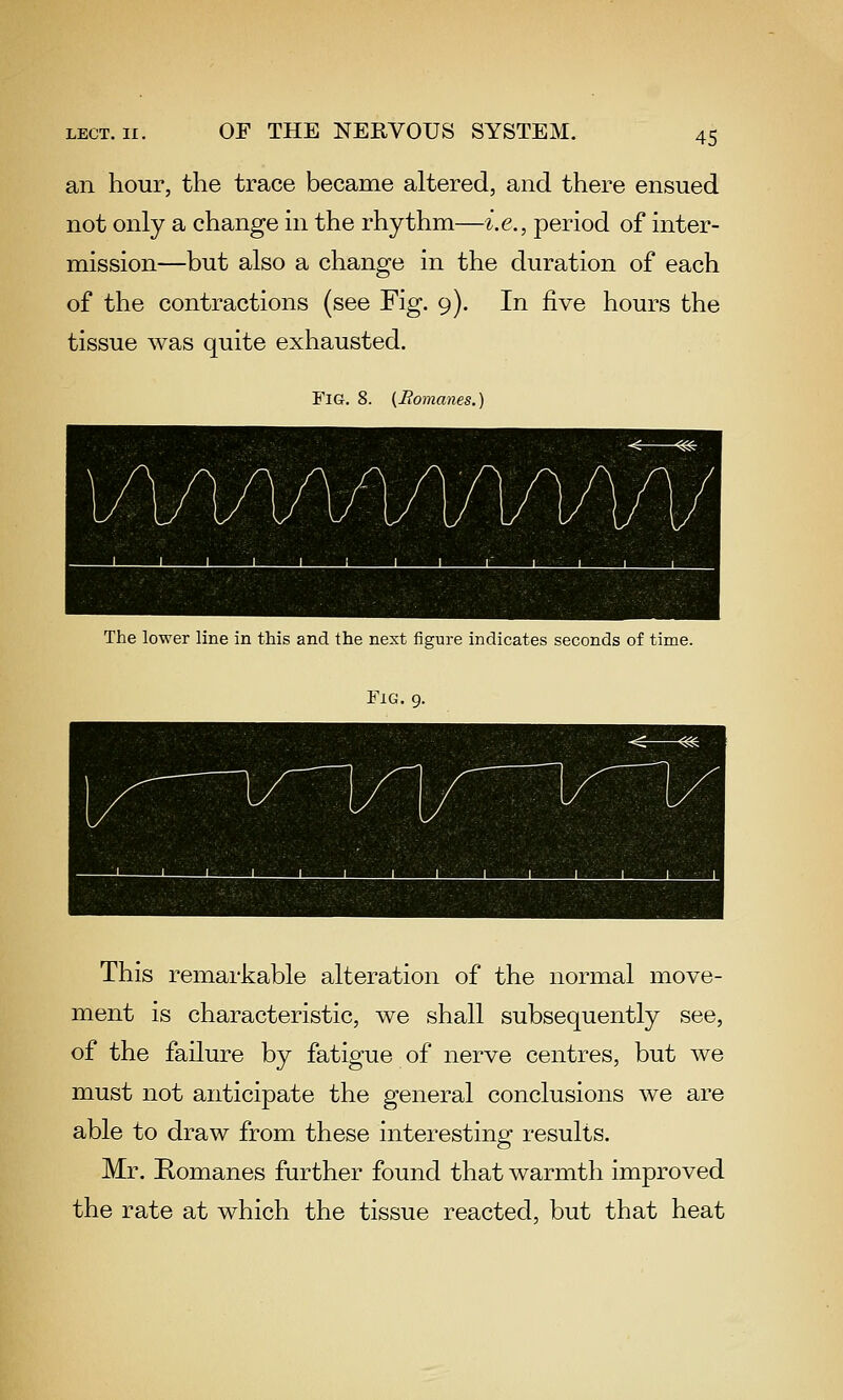 an hour, the trace became altered, and there ensued not only a change in the rhythm—i.e., period of inter- mission—but also a change in the duration of each of the contractions (see Fig. 9). In five hours the tissue was quite exhausted. Fig. 8. {Eomanes.) The lower line in this and the next figure indicates seconds of time. Fig. 9. This remarkable alteration of the normal move- ment is characteristic, we shall subsequently see, of the failure by fatigue of nerve centres, but we must not anticipate the general conclusions we are able to draw from these interesting results. Mr. Romanes further found that warmth improved the rate at which the tissue reacted, but that heat