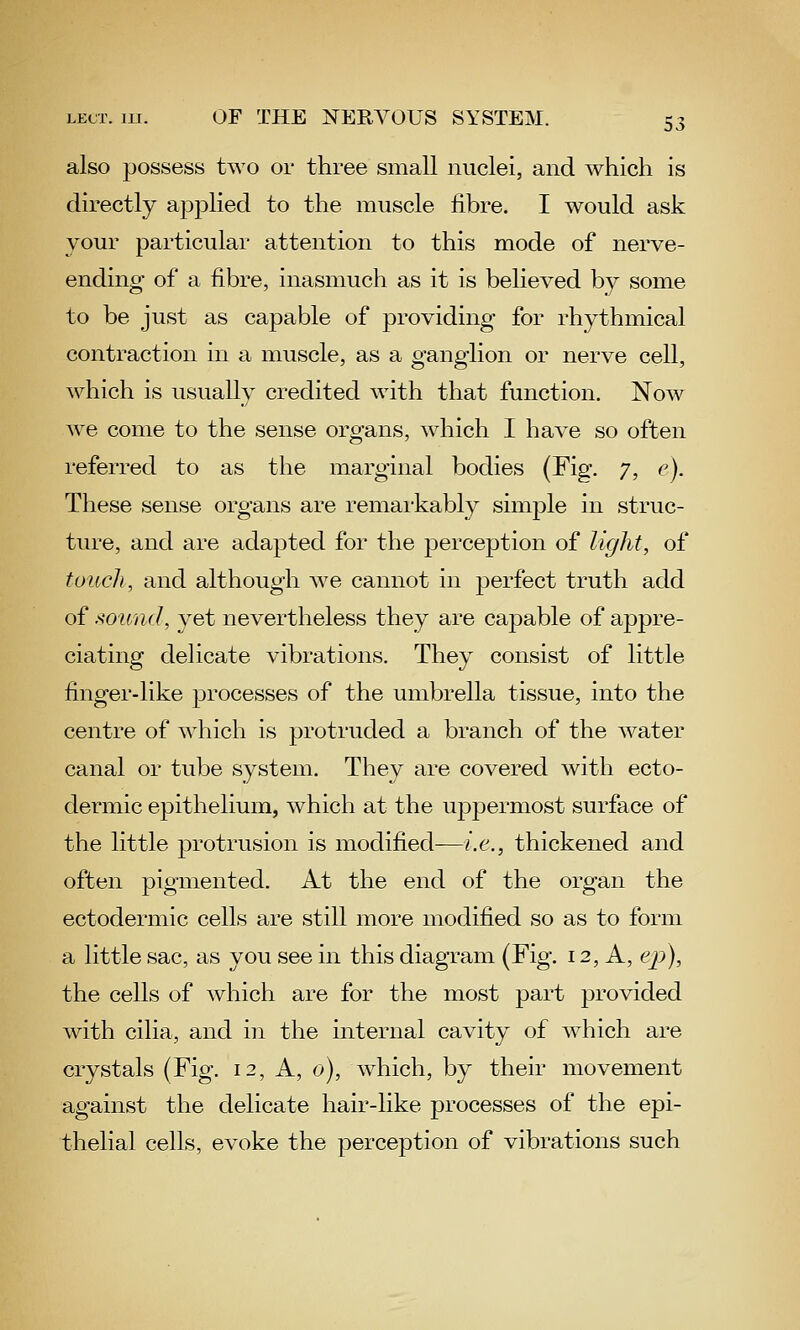 also possess two or three small nuclei, and which is directly applied to the muscle fibre. I would ask your particular attention to this mode of nerve- ending of a fibre, inasmuch as it is believed by some to be just as capable of providing for rhythmical contraction in a muscle, as a ganglion or nerve cell, which is usually credited with that function. Now we come to the sense organs, which I have so often referred to as the marginal bodies (Fig. 7, e). These sense organs are remarkably simple in struc- ture, and are adapted for the perception of light, of touch, and although Ave cannot in perfect truth add of .^oimd, yet nevertheless they are capable of appre- ciating delicate vibrations. They consist of little finger-like processes of the umbrella tissue, into the centre of which is protruded a branch of the water canal or tube system. They are covered with ecto- dermic epithelium, which at the uppermost surface of the little protrusion is modified—i.e., thickened and often pigmented. At the end of the organ the ectodermic cells are still more modified so as to form a little sac, as you see in this diagram (Fig. 12, A, ep), the cells of which are for the most part provided with cilia, and in the internal cavity of which are crystals (Fig. 12, A, 0), w^hich, by their movement against the delicate hair-like processes of the epi- thelial cells, evoke the perception of vibrations such