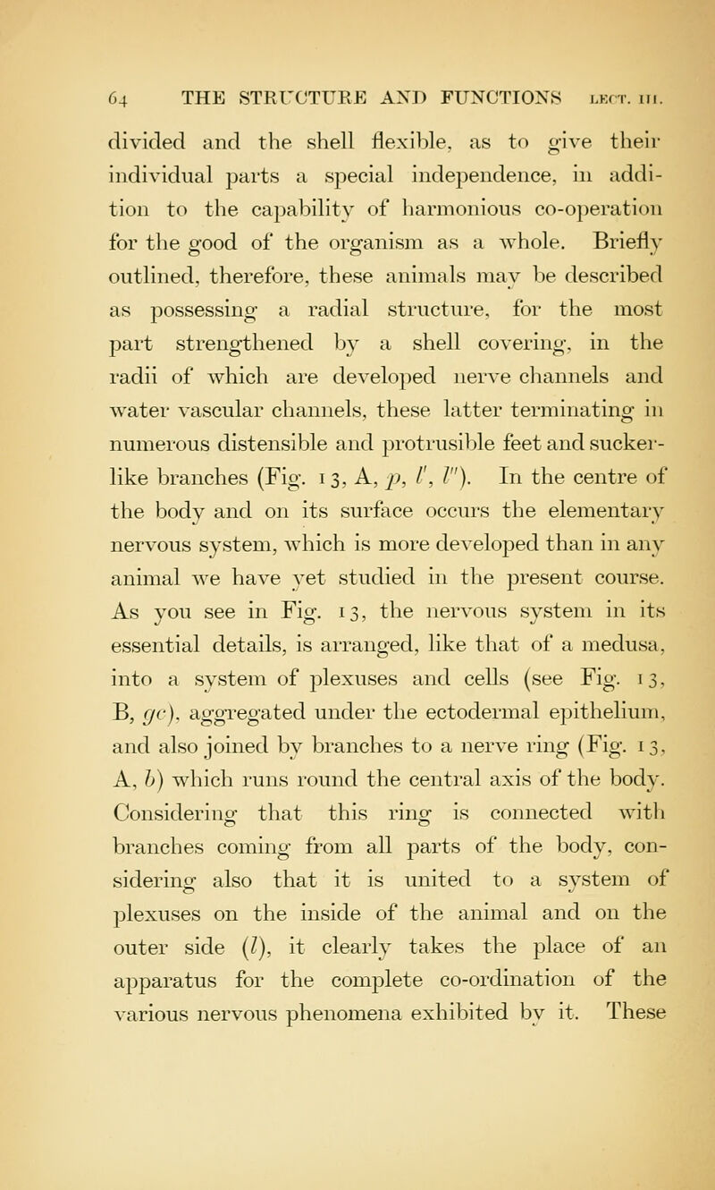 divided and the shell flexible, as to give their individual parts a special independence, in addi- tion to the capability of harmonious co-operation for the good of the organism as a whole. Briefly outlined, therefore, these animals may be described as possessing a radial structure, for the most part strengthened by a shell covering, in the radii of which are developed nerve channels and water vascular channels, these latter terminating in numerous distensible and protrusible feet and sucker- like branches (Fig. i 3, A, 2^, /', /). In the centre of the body and on its surface occurs the elementary nervous system, which is more developed than in any animal we have yet studied in the present course. As you see in Fig. 13, the nervous system in its essential details, is arranged, like that of a medusa, into a system of plexuses and cells (see Fig. 13, B, gc), aggregated under the ectodermal epithelium, and also joined by branches to a nerve ring (Fig. 13, A, h) which runs round the central axis of the body. Considering- that this ring- is connected with branches coming from all parts of the body, con- sidering also that it is united to a system of plexuses on the inside of the animal and on the outer side [1), it clearly takes the place of an apparatus for the complete co-ordination of the various nervous phenomena exhibited by it. These
